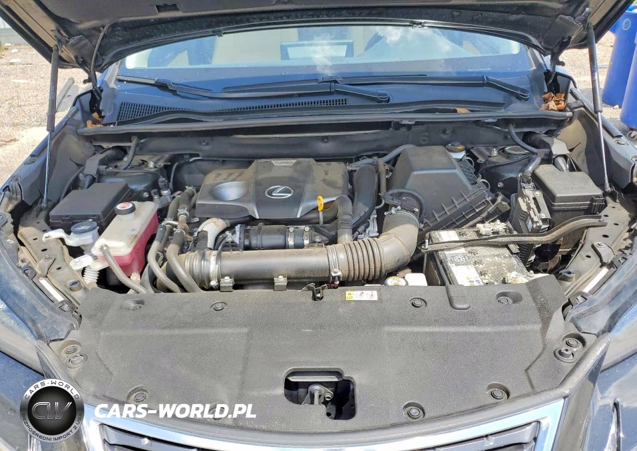 2021 Lexus Nx 300 Base VIN:JTJGARBZ1M5033932 - 11