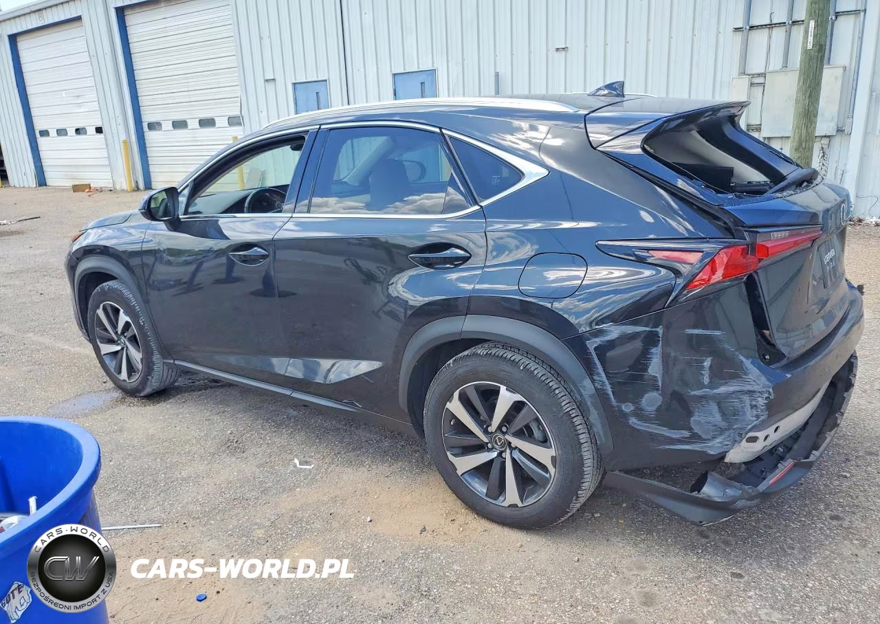2021 Lexus Nx 300 Base VIN:JTJGARBZ1M5033932 - 2