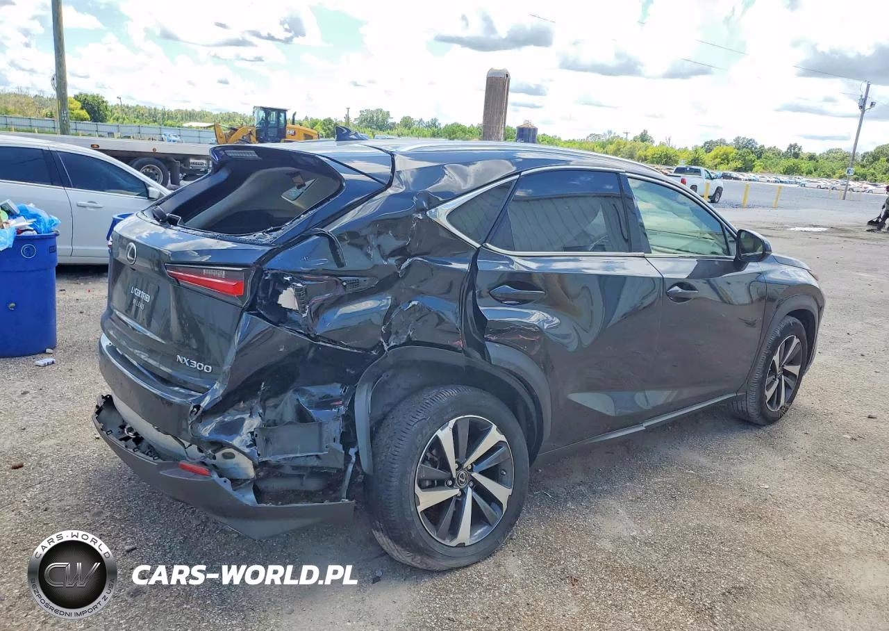 2021 Lexus Nx 300 Base VIN:JTJGARBZ1M5033932 - 3