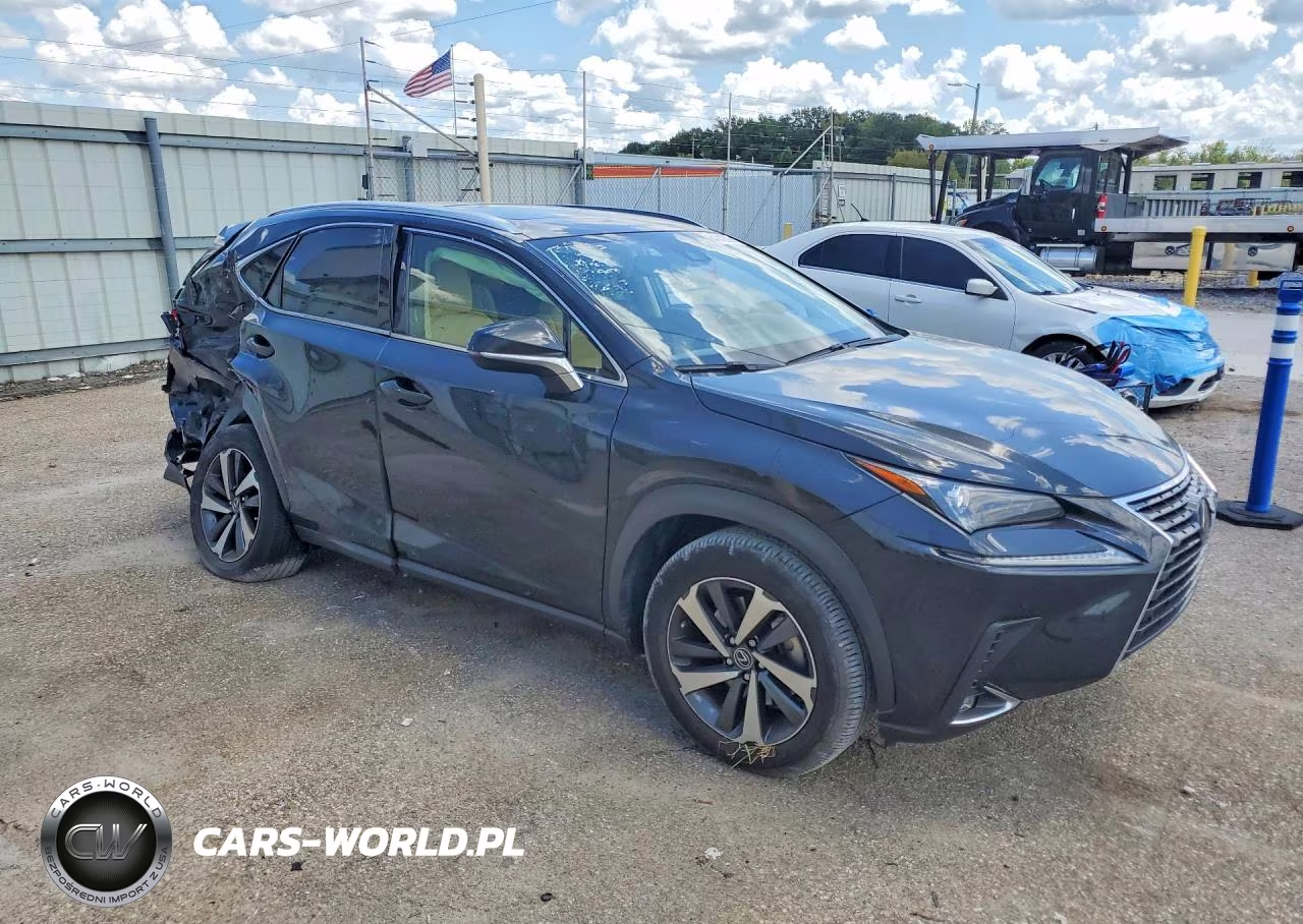 2021 Lexus Nx 300 Base VIN:JTJGARBZ1M5033932 - 4