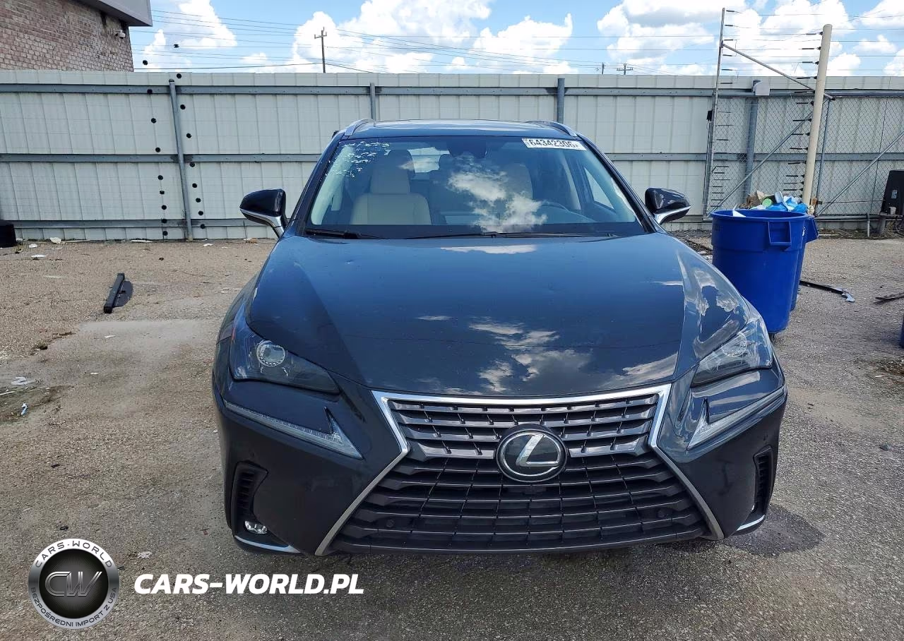 2021 Lexus Nx 300 Base VIN:JTJGARBZ1M5033932 - 5