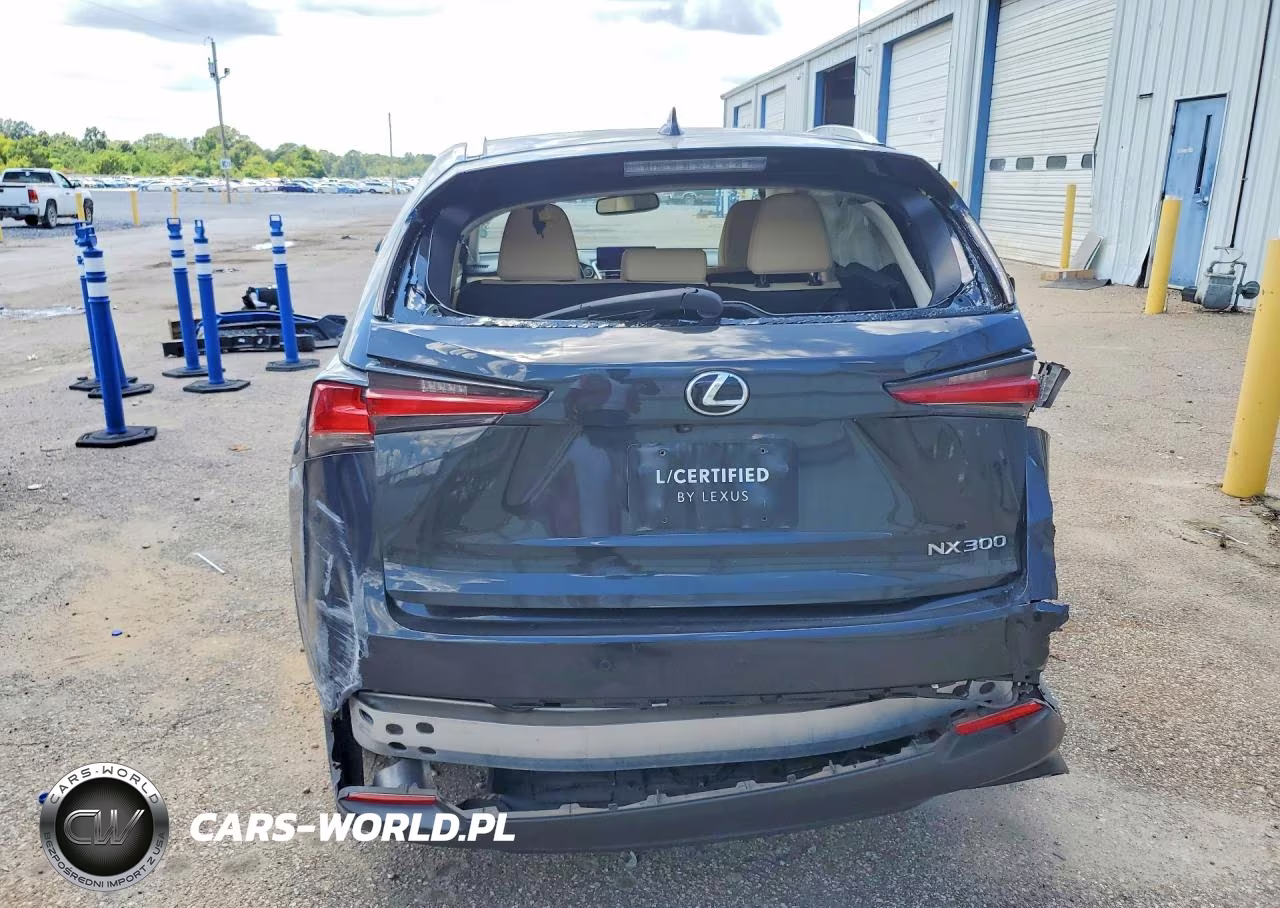 2021 Lexus Nx 300 Base VIN:JTJGARBZ1M5033932 - 6