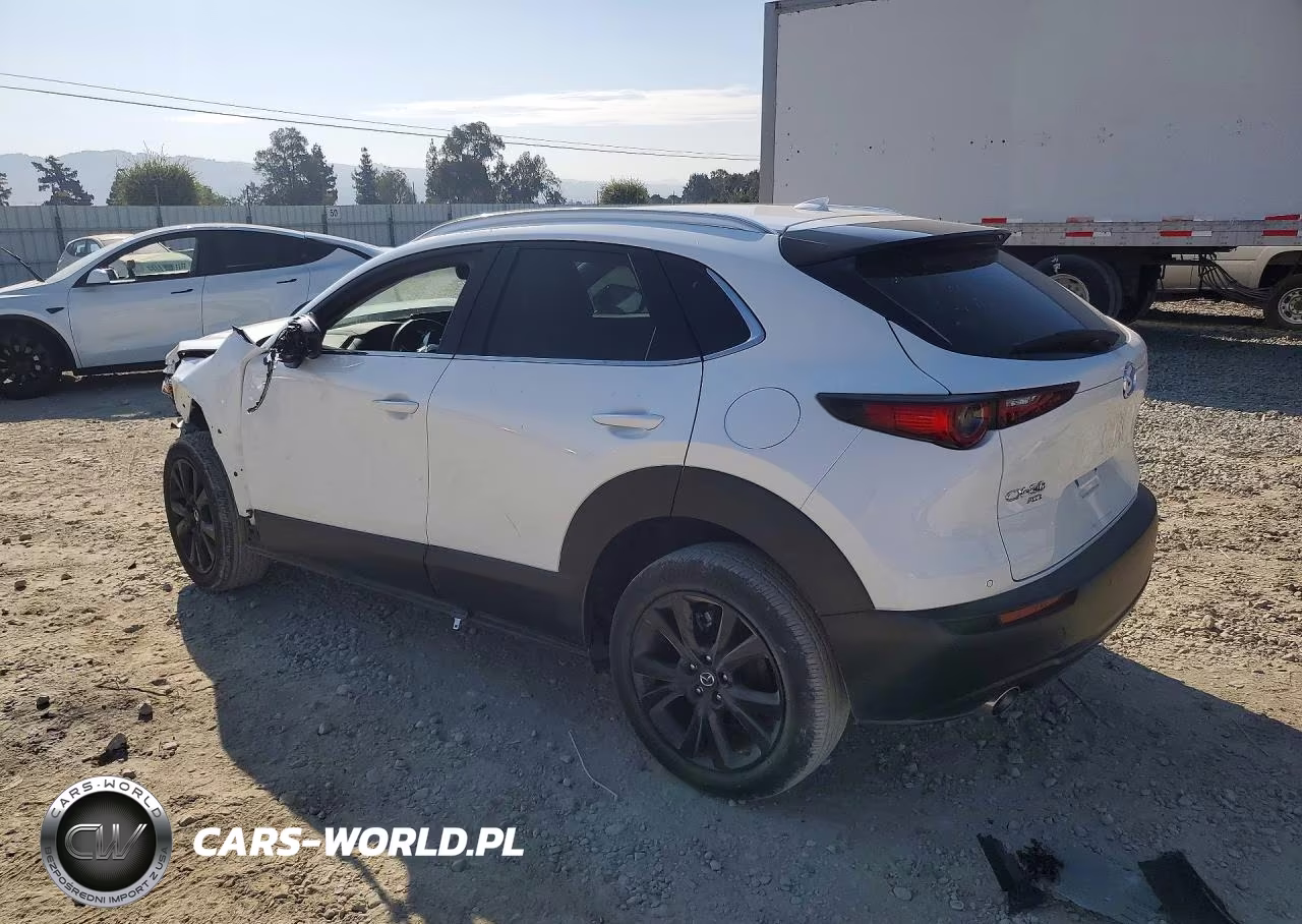 2024 Mazda Cx-30 Premium Plus VIN:3MVDMBEY3RM690559 - 2
