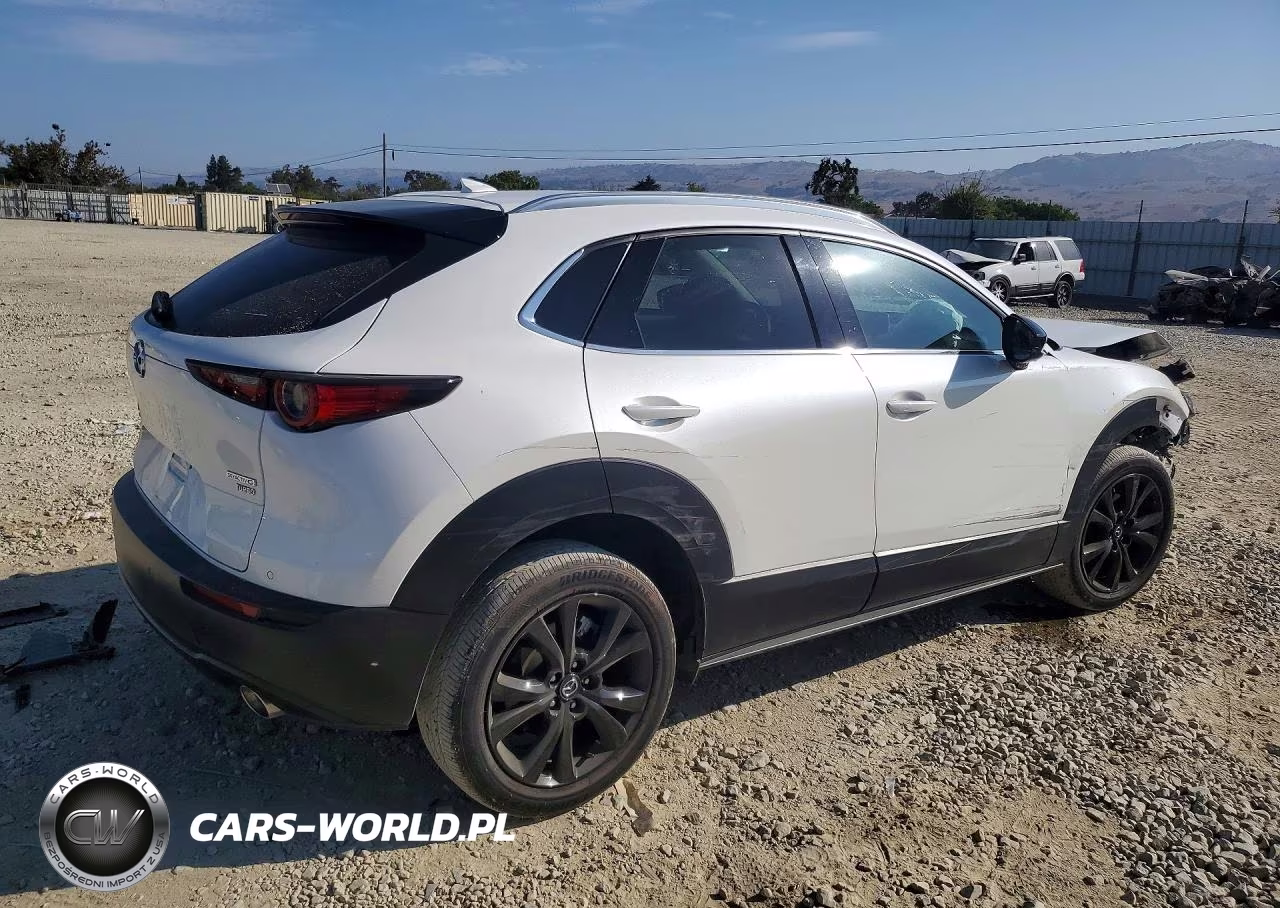 2024 Mazda Cx-30 Premium Plus VIN:3MVDMBEY3RM690559 - 3