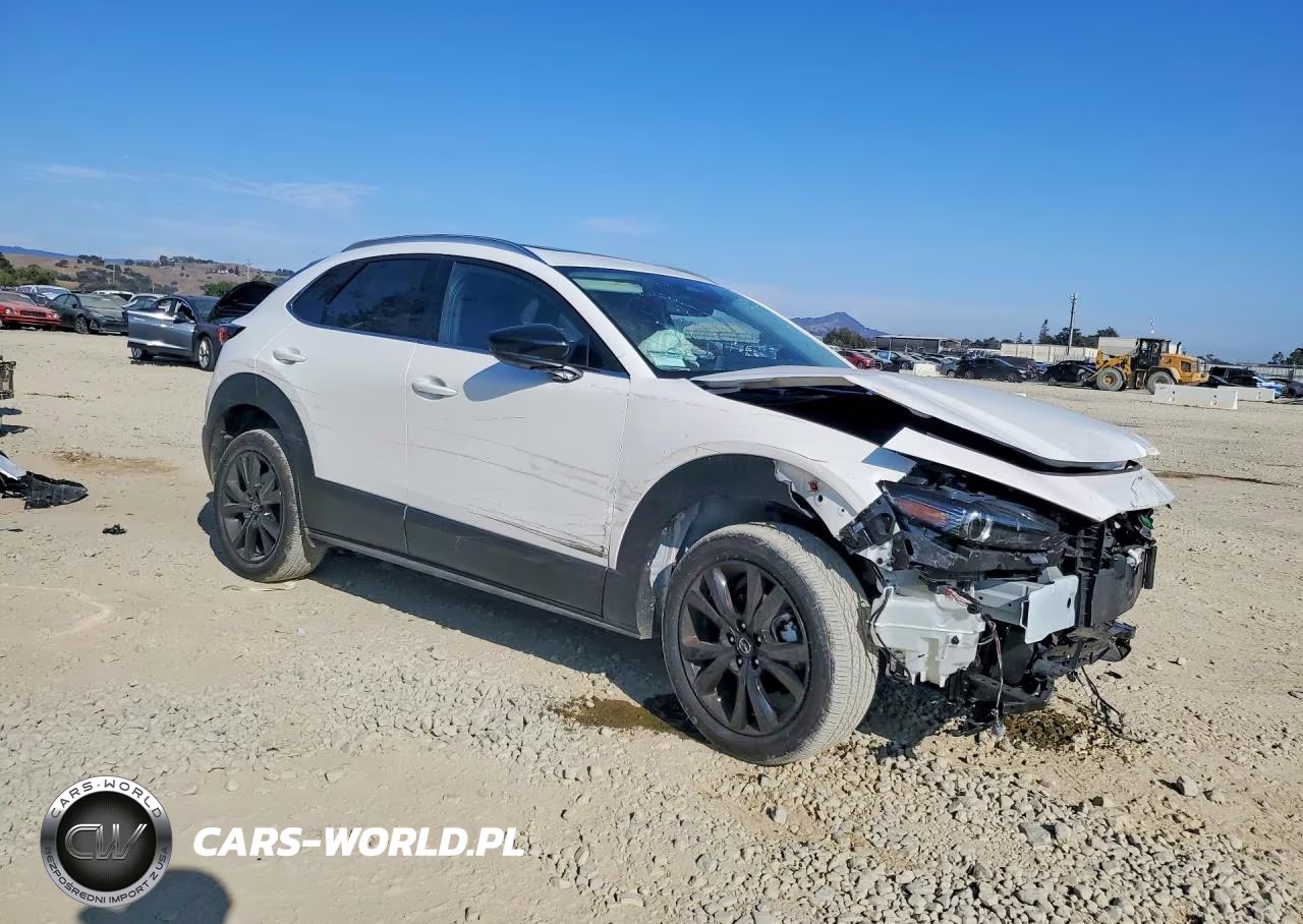 2024 Mazda Cx-30 Premium Plus VIN:3MVDMBEY3RM690559 - 4