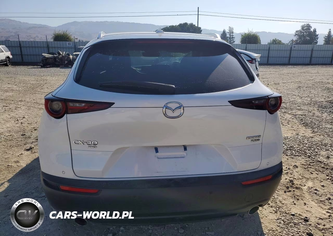 2024 Mazda Cx-30 Premium Plus VIN:3MVDMBEY3RM690559 - 6