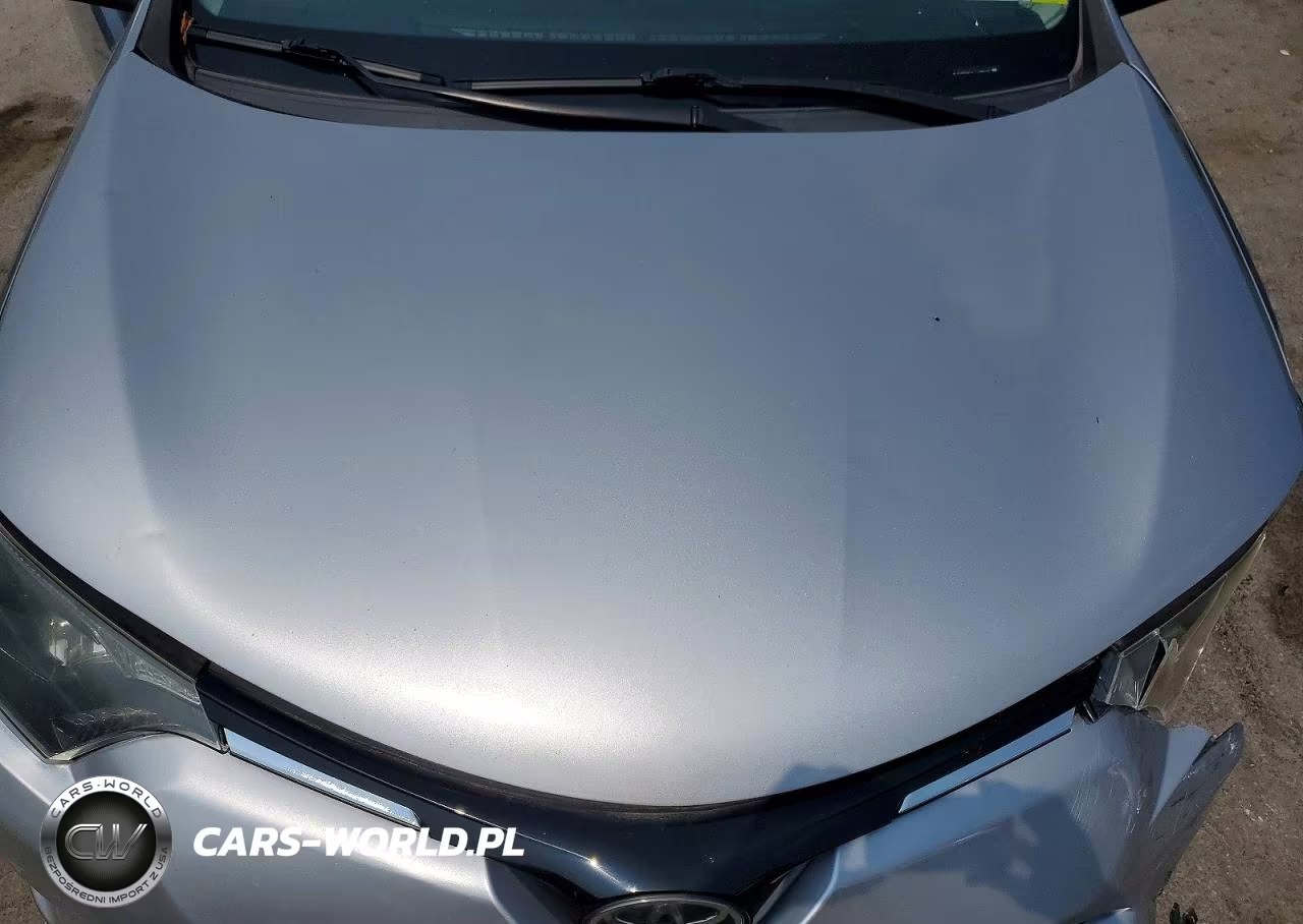 2018 Toyota Rav4 Xle VIN:JTMRFREV1JJ188182 - 12