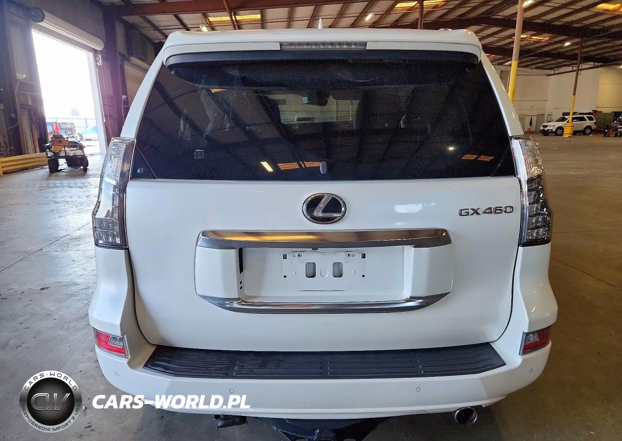 2020 Lexus Gx 460 Premium VIN:JTJAM7BX3L5253815 - 6