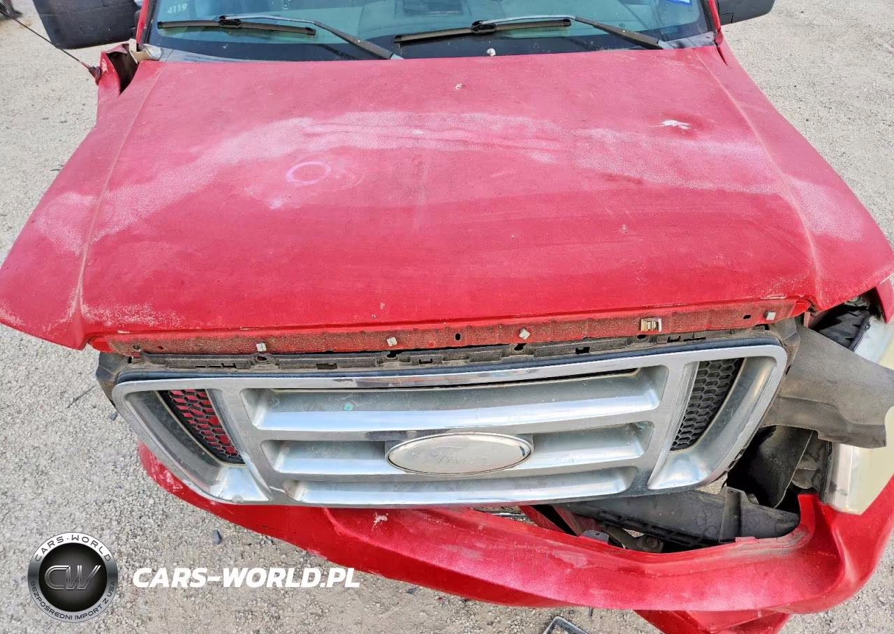 2006 Ford F150 VIN:1FTRF12226NB27239 - 11