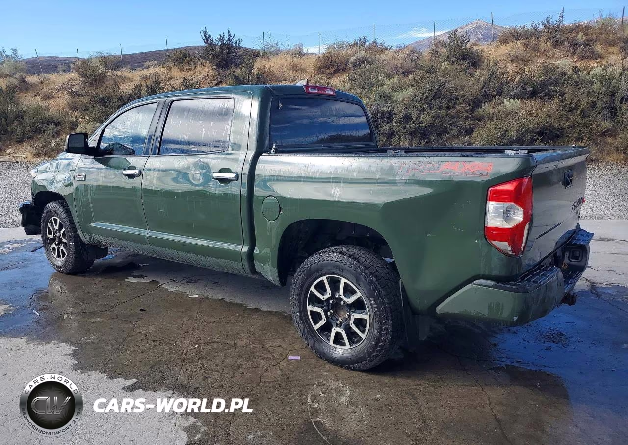 2021 Toyota Tundra 1794 Edition VIN:5TFAY5F10MX007800 - 2