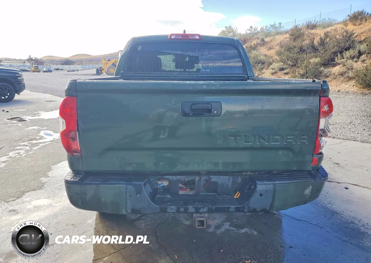 2021 Toyota Tundra 1794 Edition VIN:5TFAY5F10MX007800 - 6