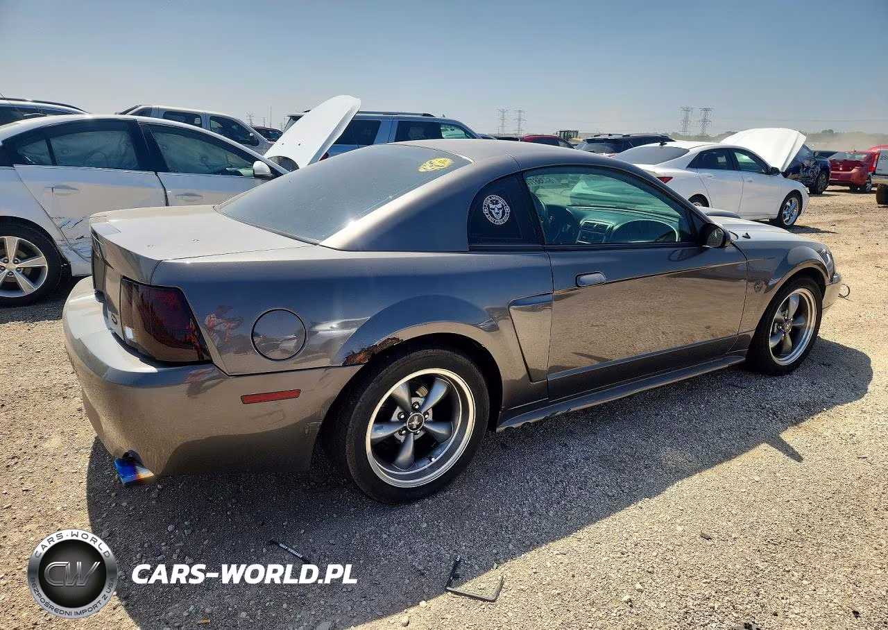 2004 Ford Mustang Gt VIN:1FAFP42XX4F127466 - 3