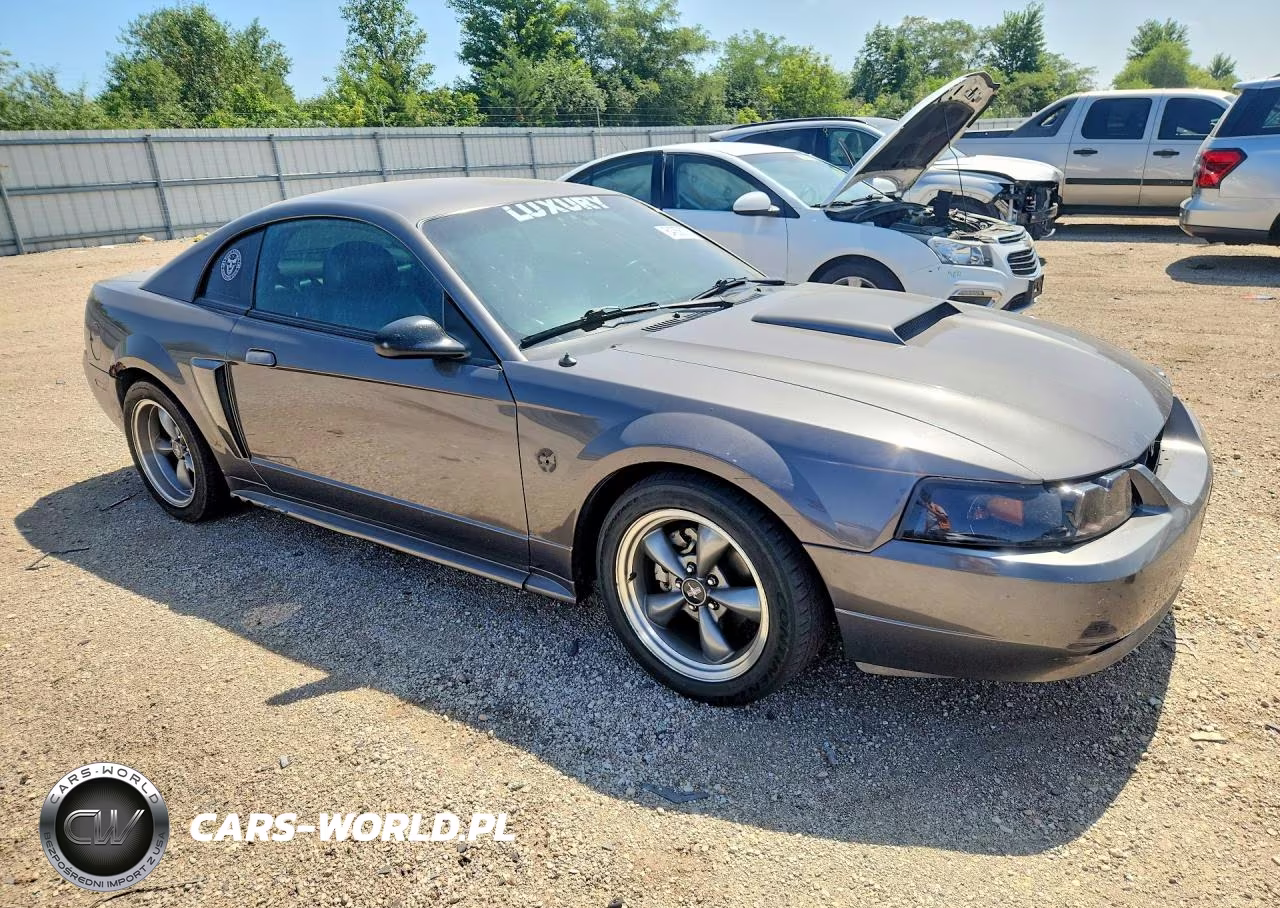 2004 Ford Mustang Gt VIN:1FAFP42XX4F127466 - 4