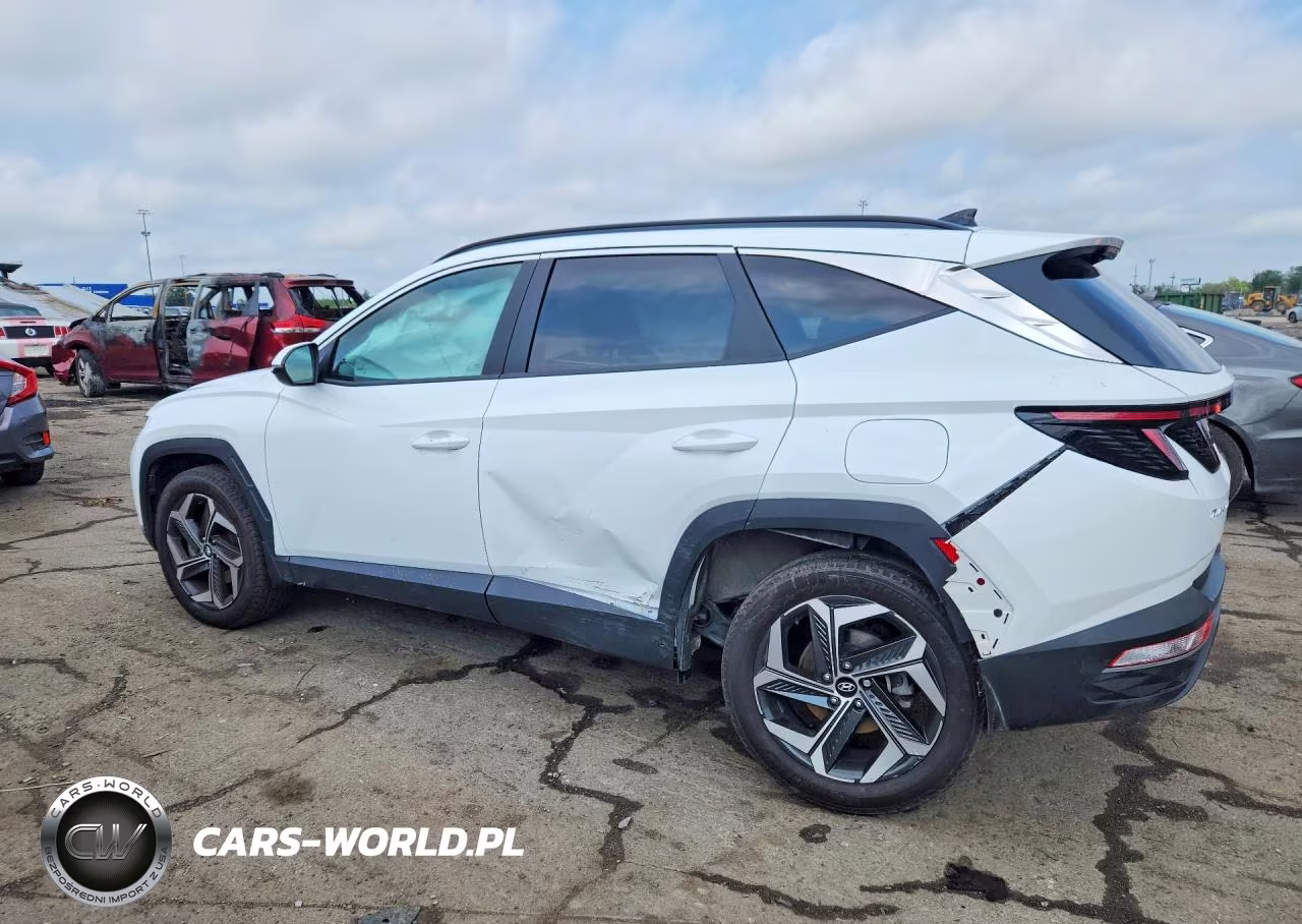 2023 Hyundai Tucson Sel VIN:5NMJFCAE9PH291932 - 2