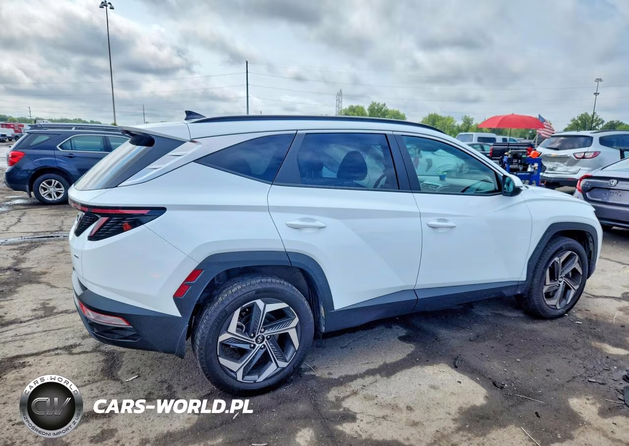 2023 Hyundai Tucson Sel VIN:5NMJFCAE9PH291932 - 3