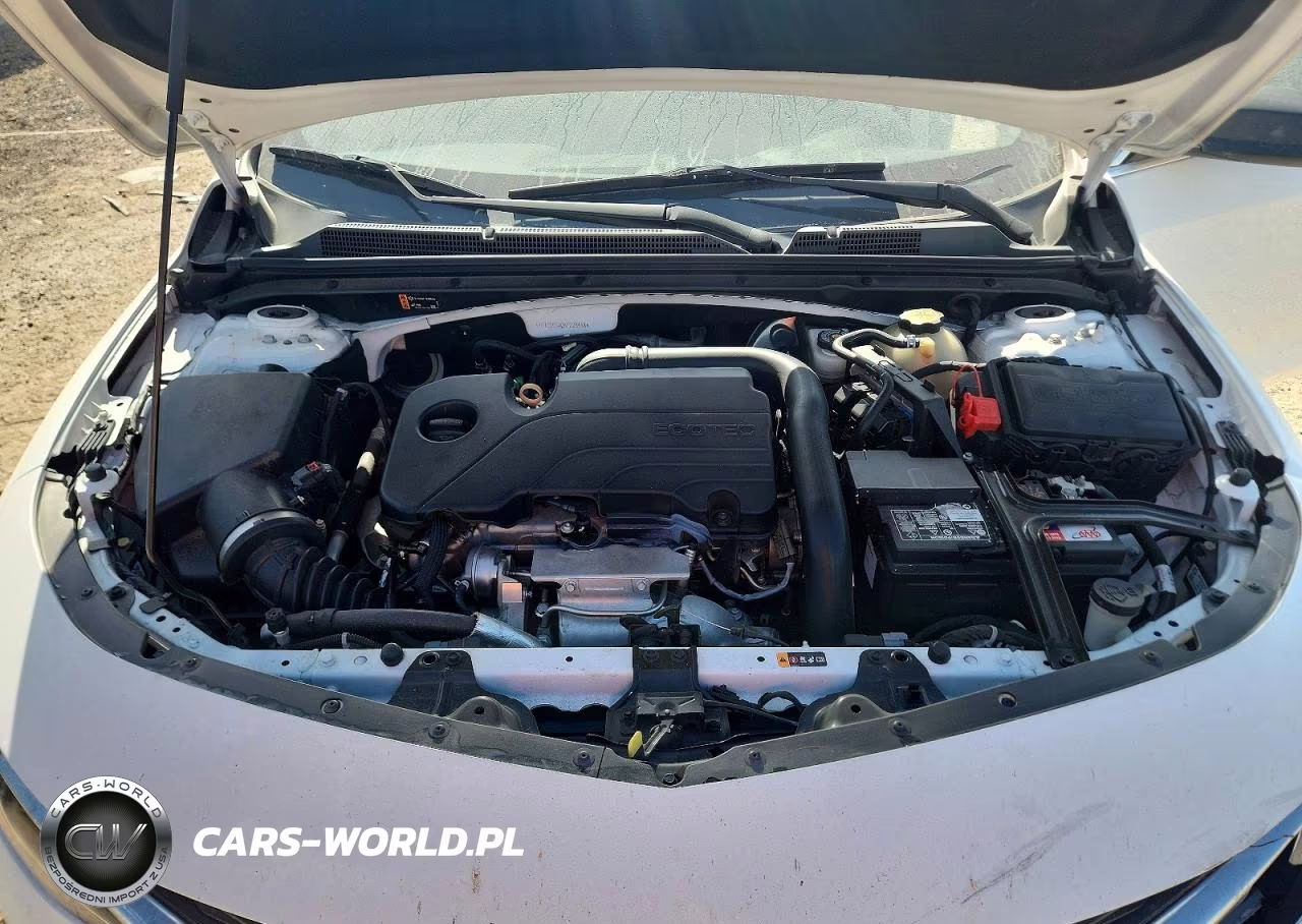 2019 Chevrolet Malibu Ls VIN:1G1ZB5ST0KF228448 - 11