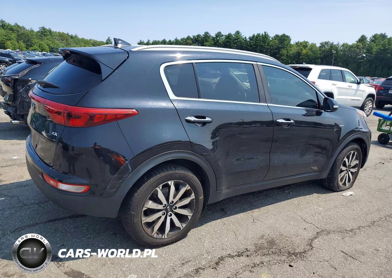 2017 Kia Sportage Ex VIN:KNDPNCAC7H7228493 - 3