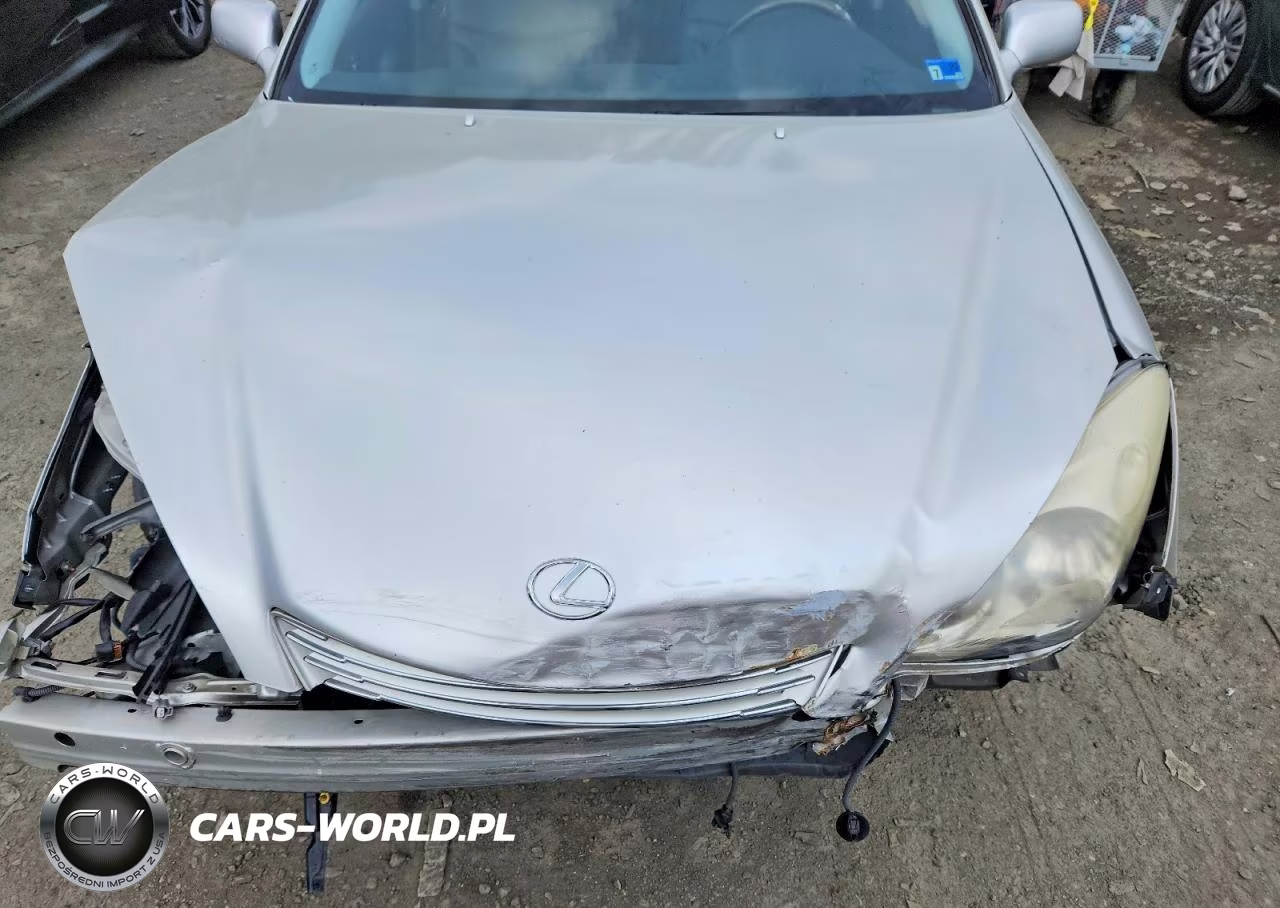 2004 Lexus Es 330 VIN:JTHBA30G245001095 - 11