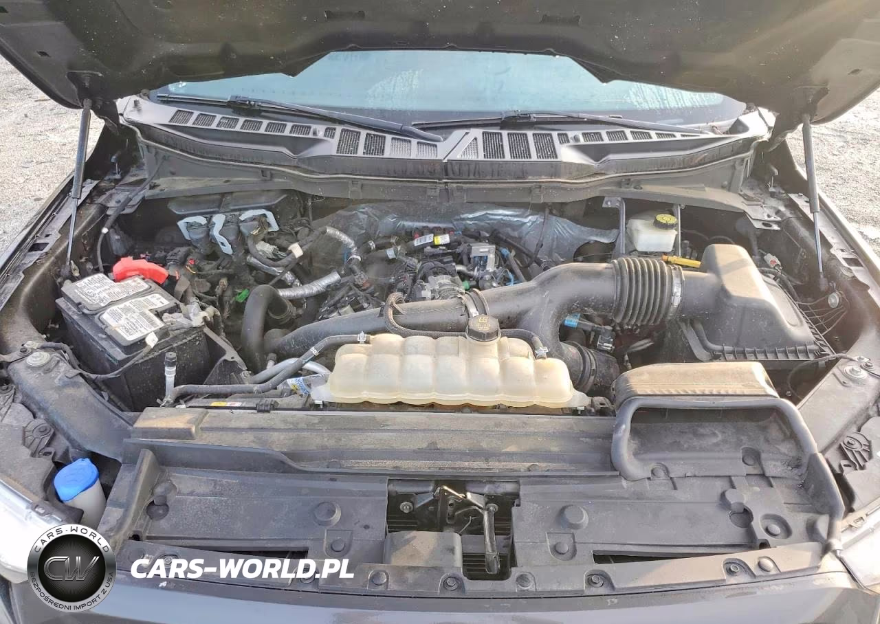 2021 Ford F150 Supercrew VIN:1FTEW1EP3MFC01944 - 11