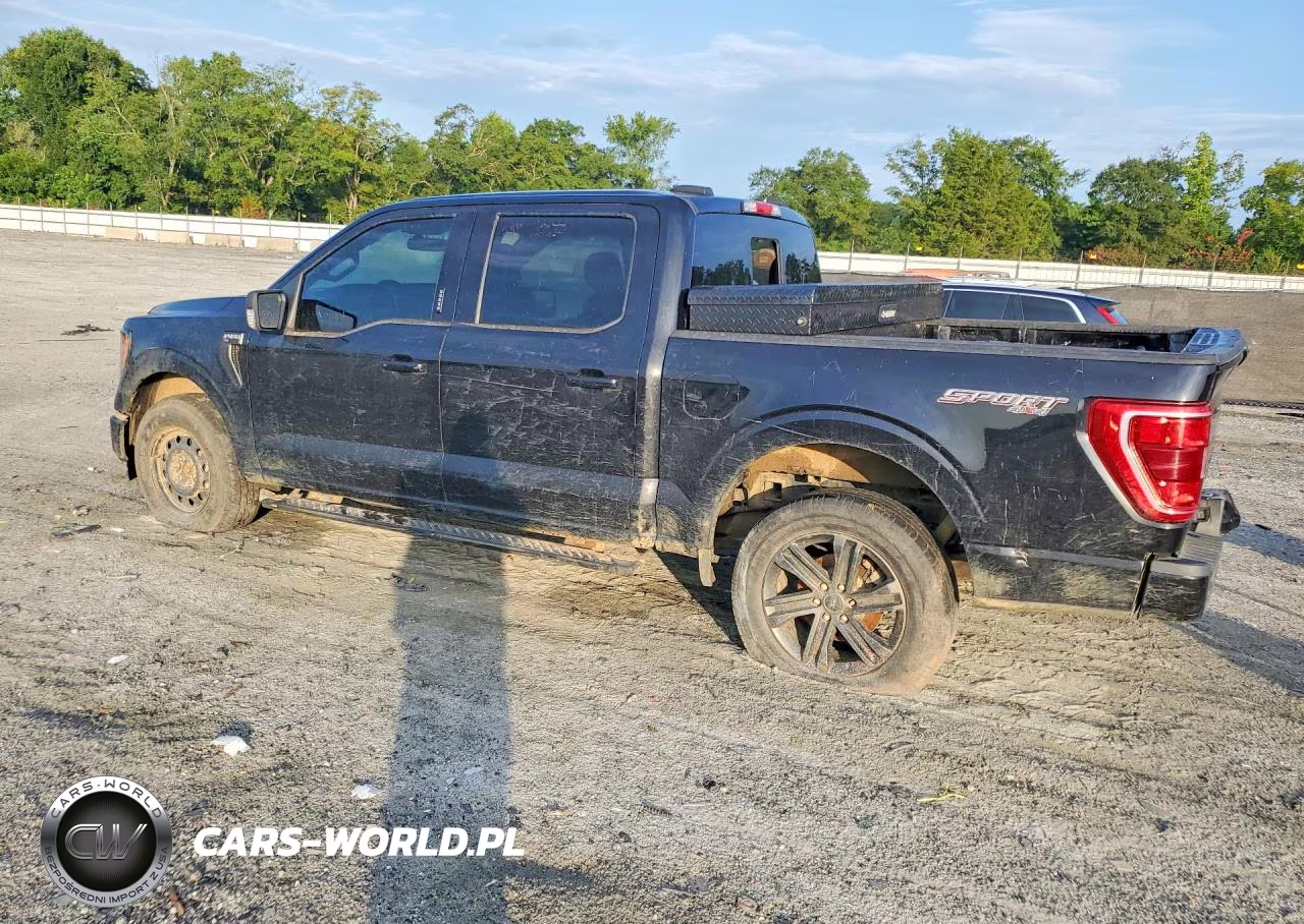 2021 Ford F150 Supercrew VIN:1FTEW1EP3MFC01944 - 2