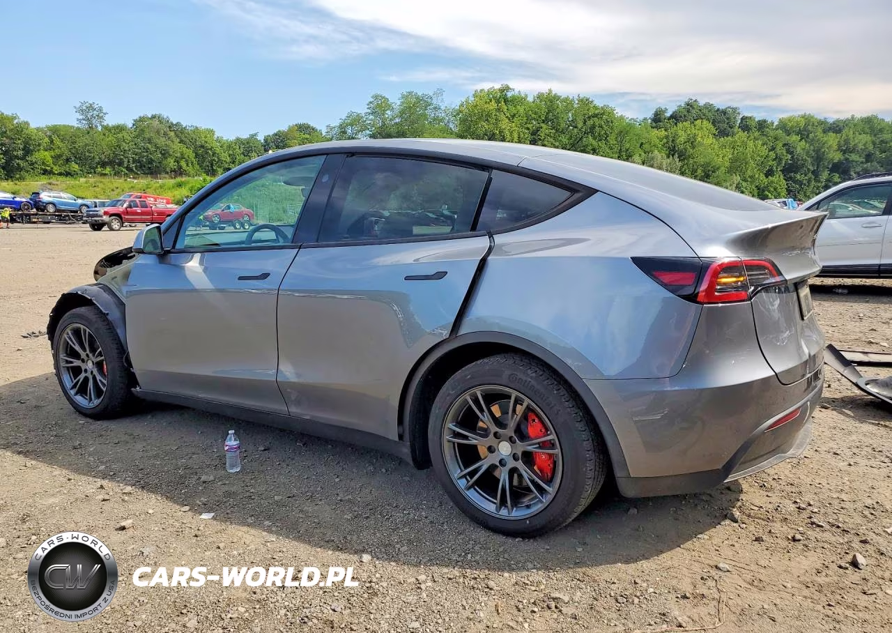 2024 Tesla Model Y VIN:7SAYGAEE5RF118698 - 2