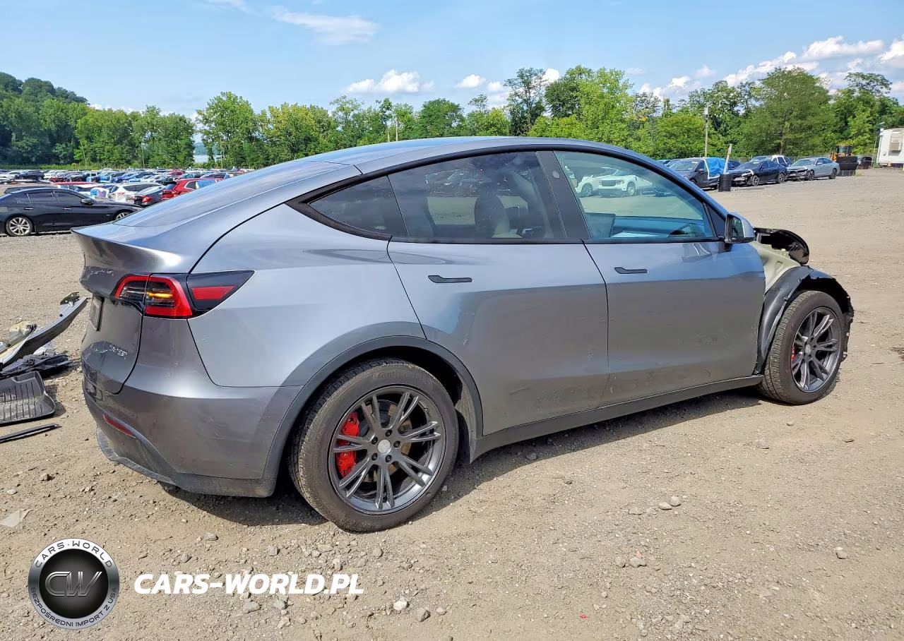 2024 Tesla Model Y VIN:7SAYGAEE5RF118698 - 3