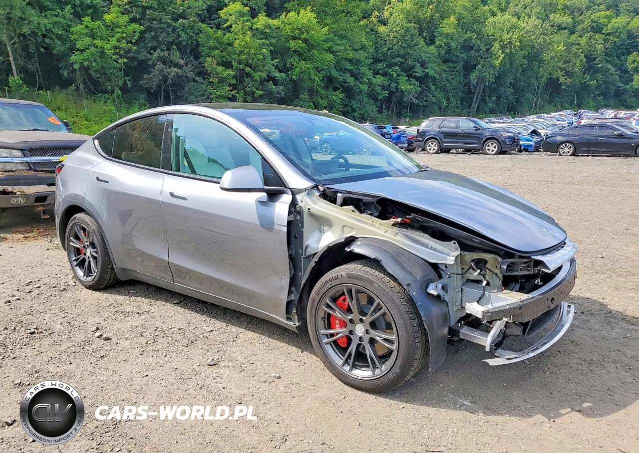 2024 Tesla Model Y VIN:7SAYGAEE5RF118698 - 4