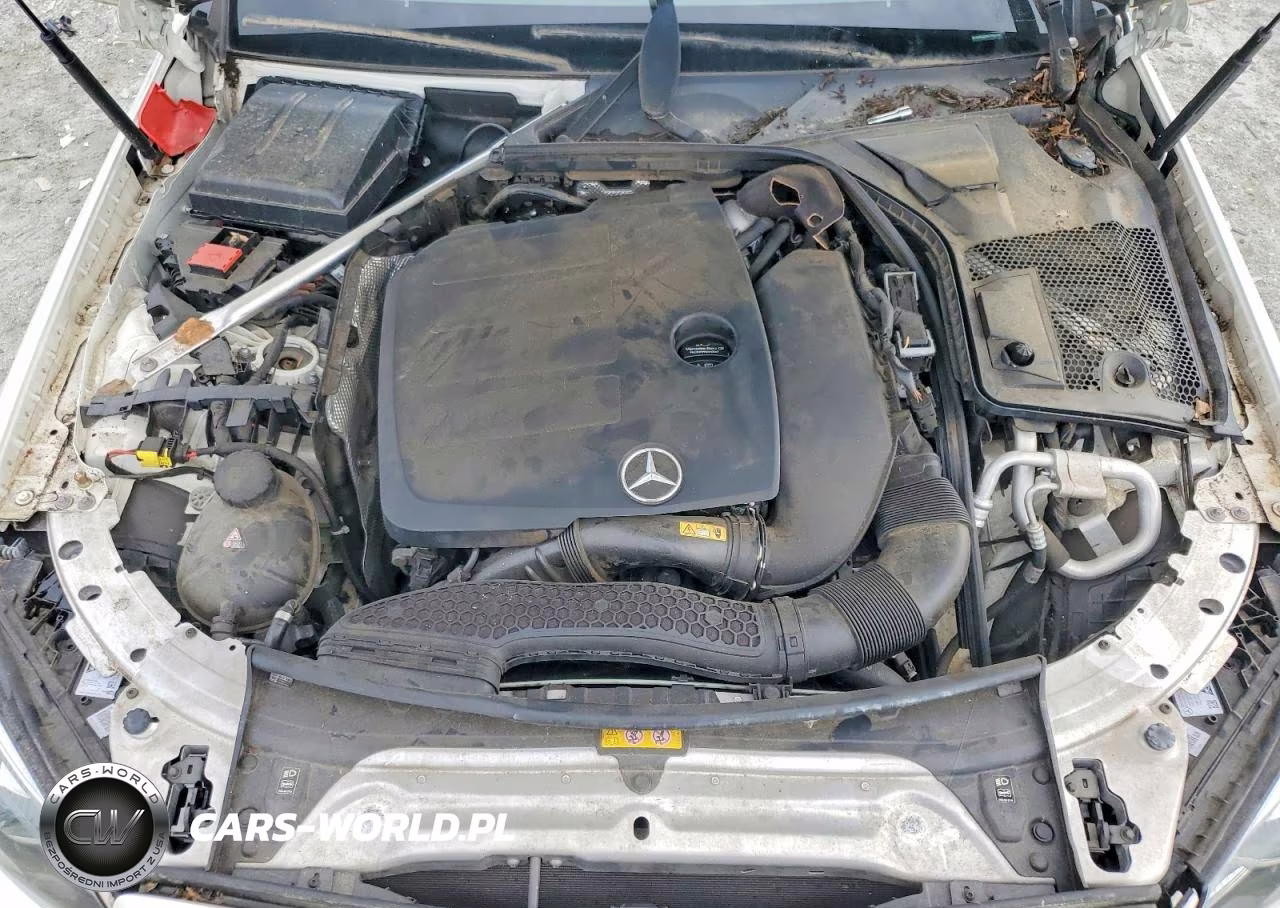 2020 Mercedes-Benz C 300 VIN:W1KWK8DB8LF998176 - 11