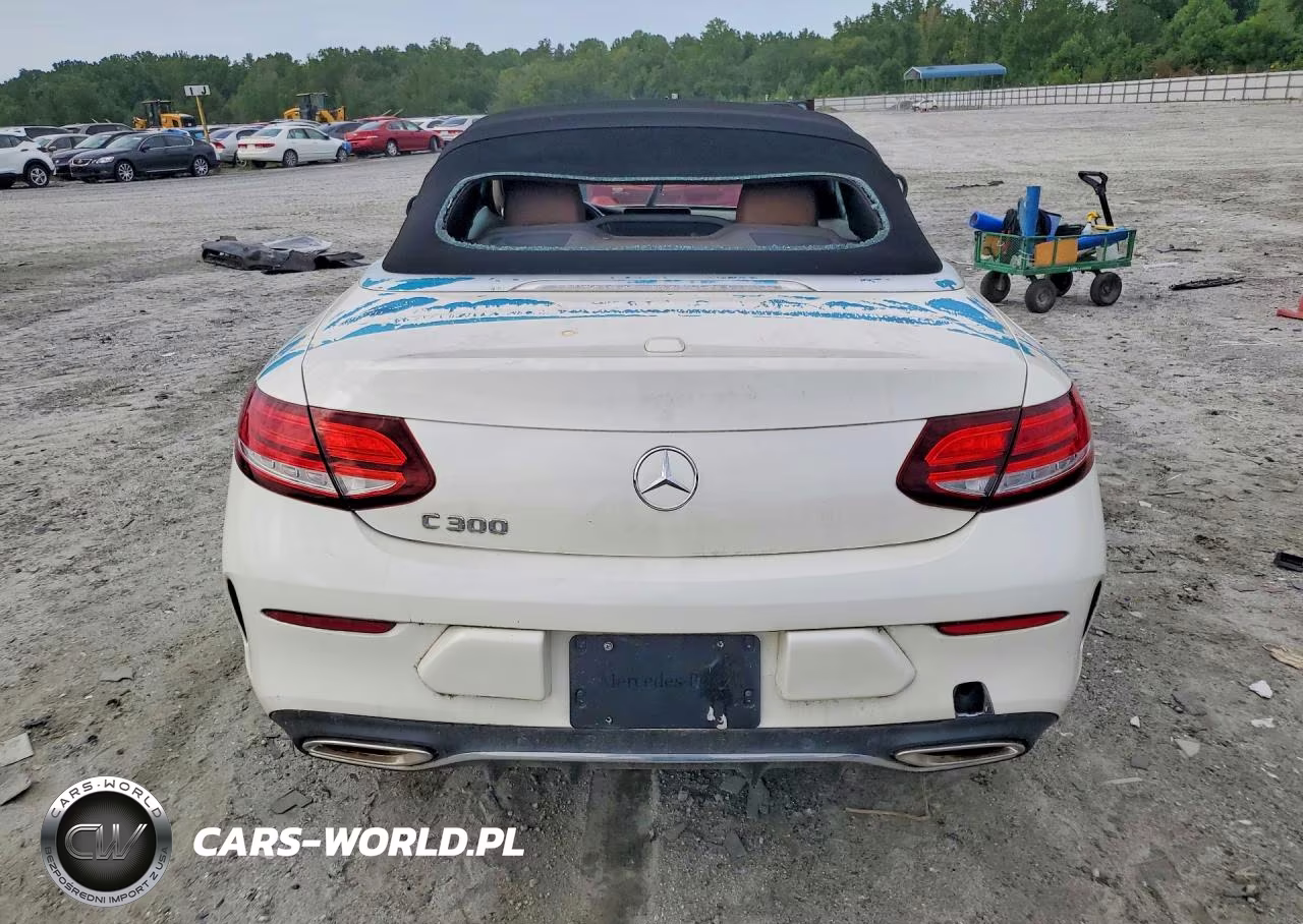 2020 Mercedes-Benz C 300 VIN:W1KWK8DB8LF998176 - 6