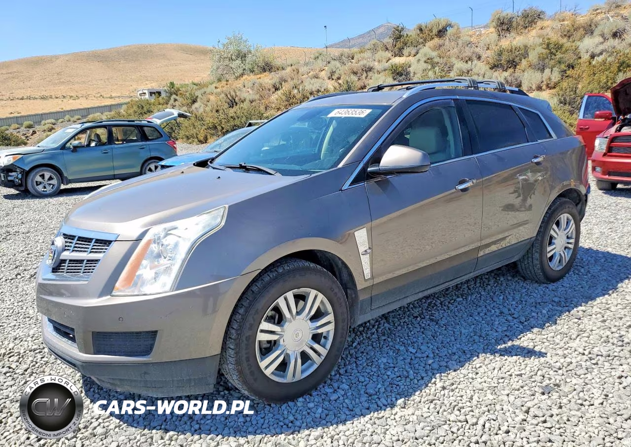 2011 Cadillac Srx Luxury VIN:3GYFNDEY6BS670319 - 1