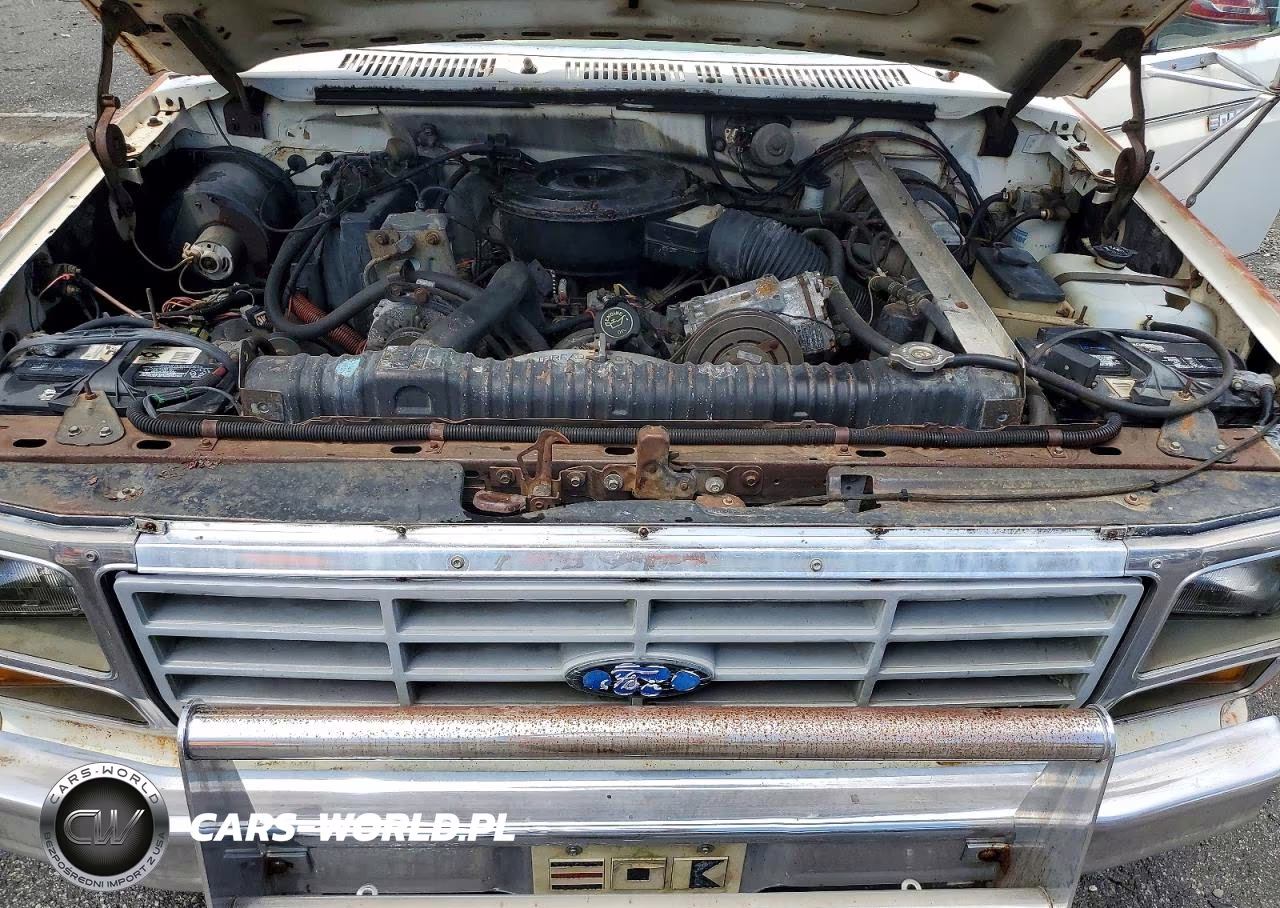 1983 Ford F250 VIN:1FTHF2517DNA20205 - 11