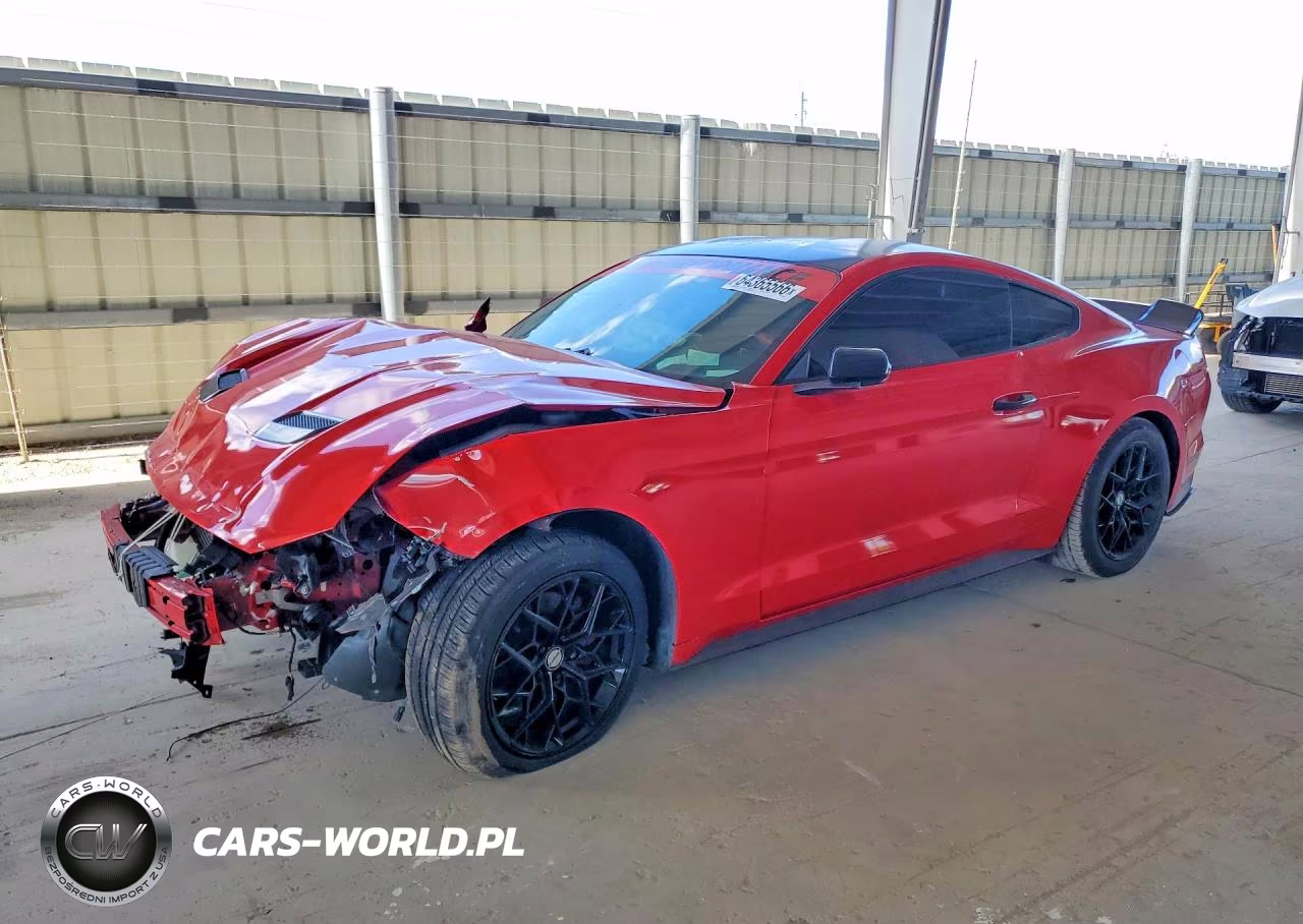 2019 Ford Mustang VIN:1FA6P8TH4K5129554 - 1