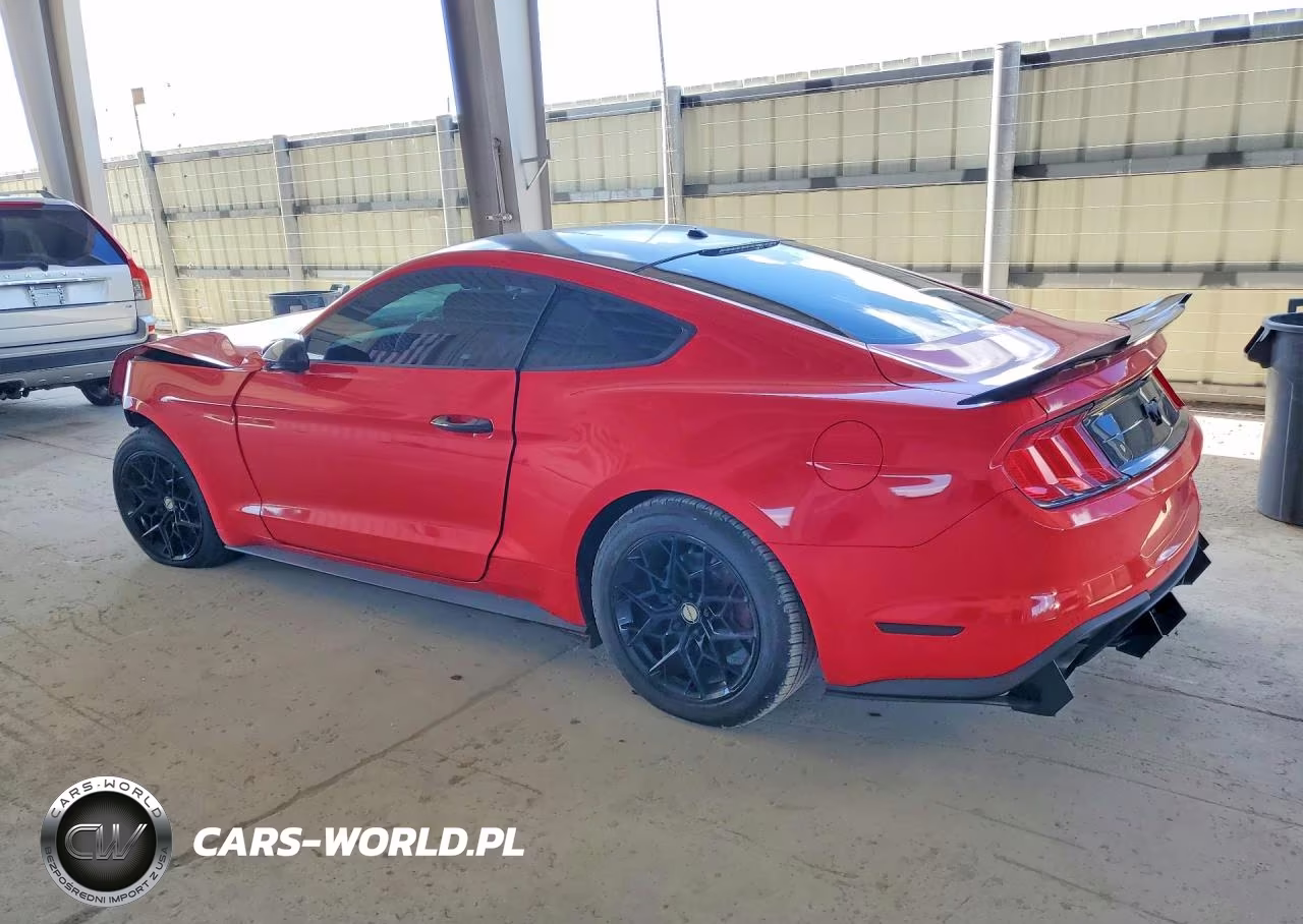 2019 Ford Mustang VIN:1FA6P8TH4K5129554 - 2