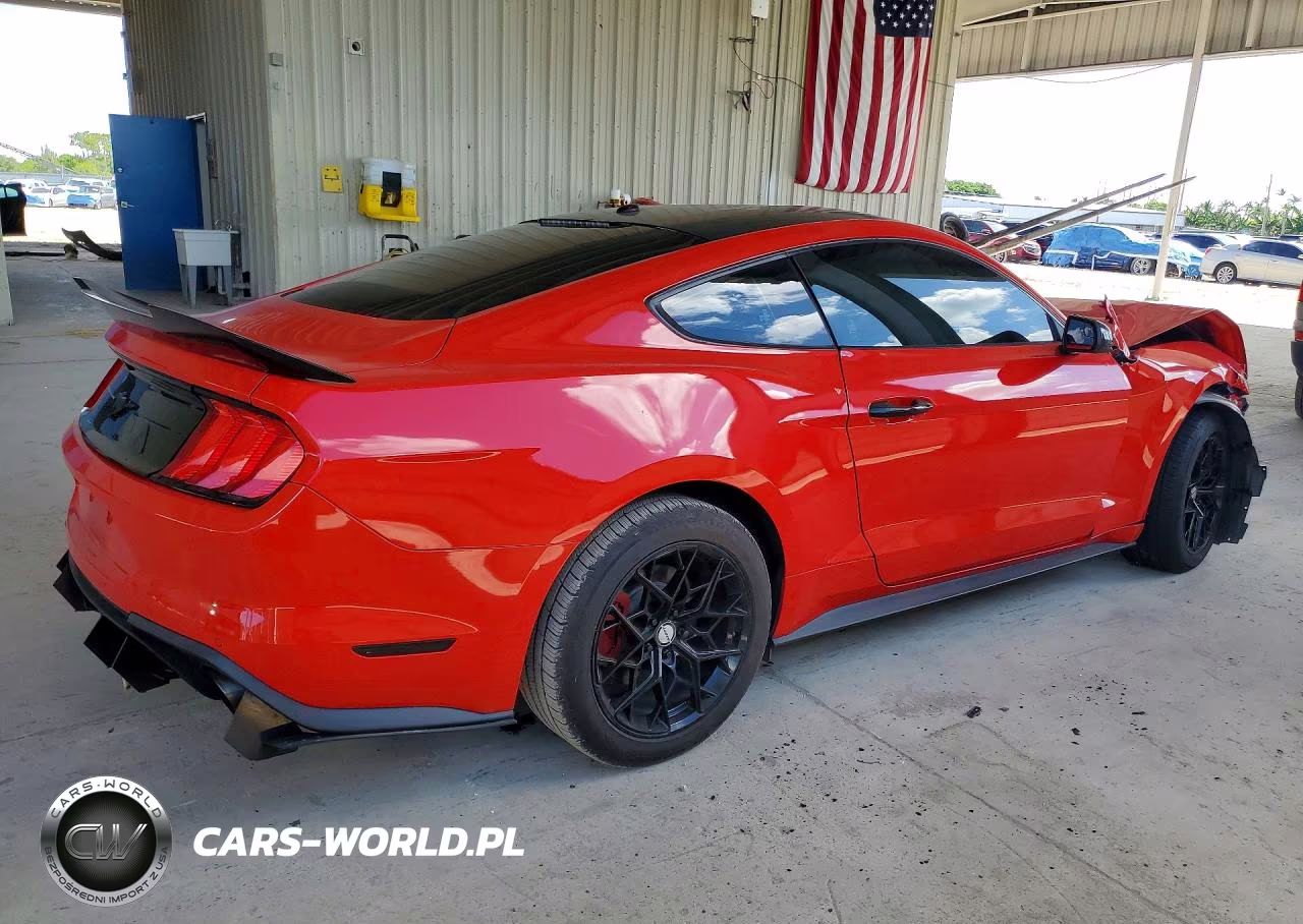 2019 Ford Mustang VIN:1FA6P8TH4K5129554 - 3