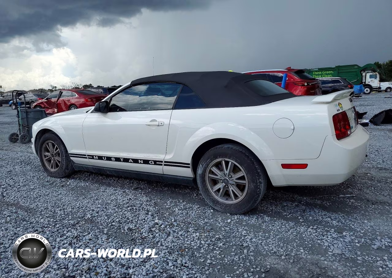 2005 Ford Mustang VIN:1ZVFT84N555247611 - 2