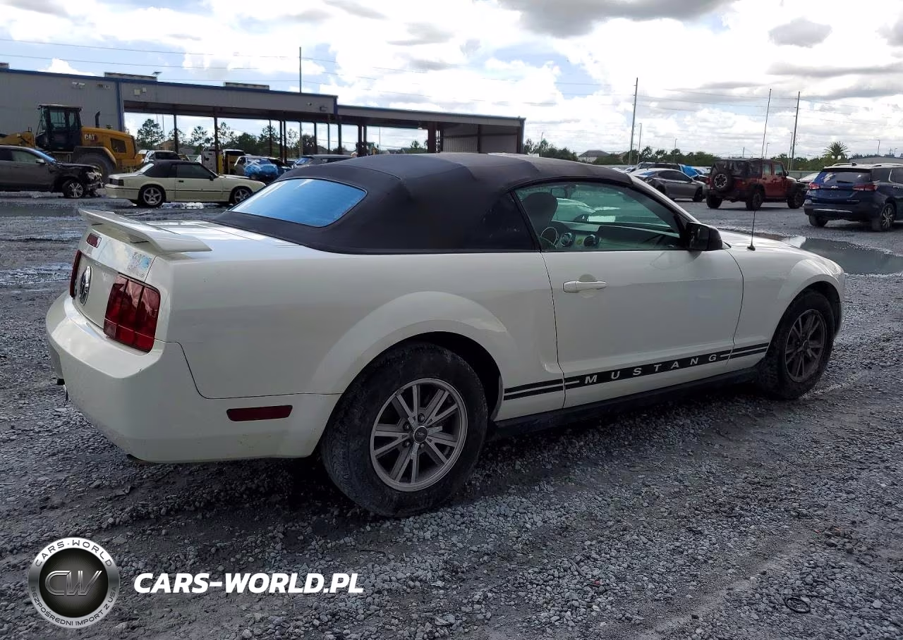 2005 Ford Mustang VIN:1ZVFT84N555247611 - 3