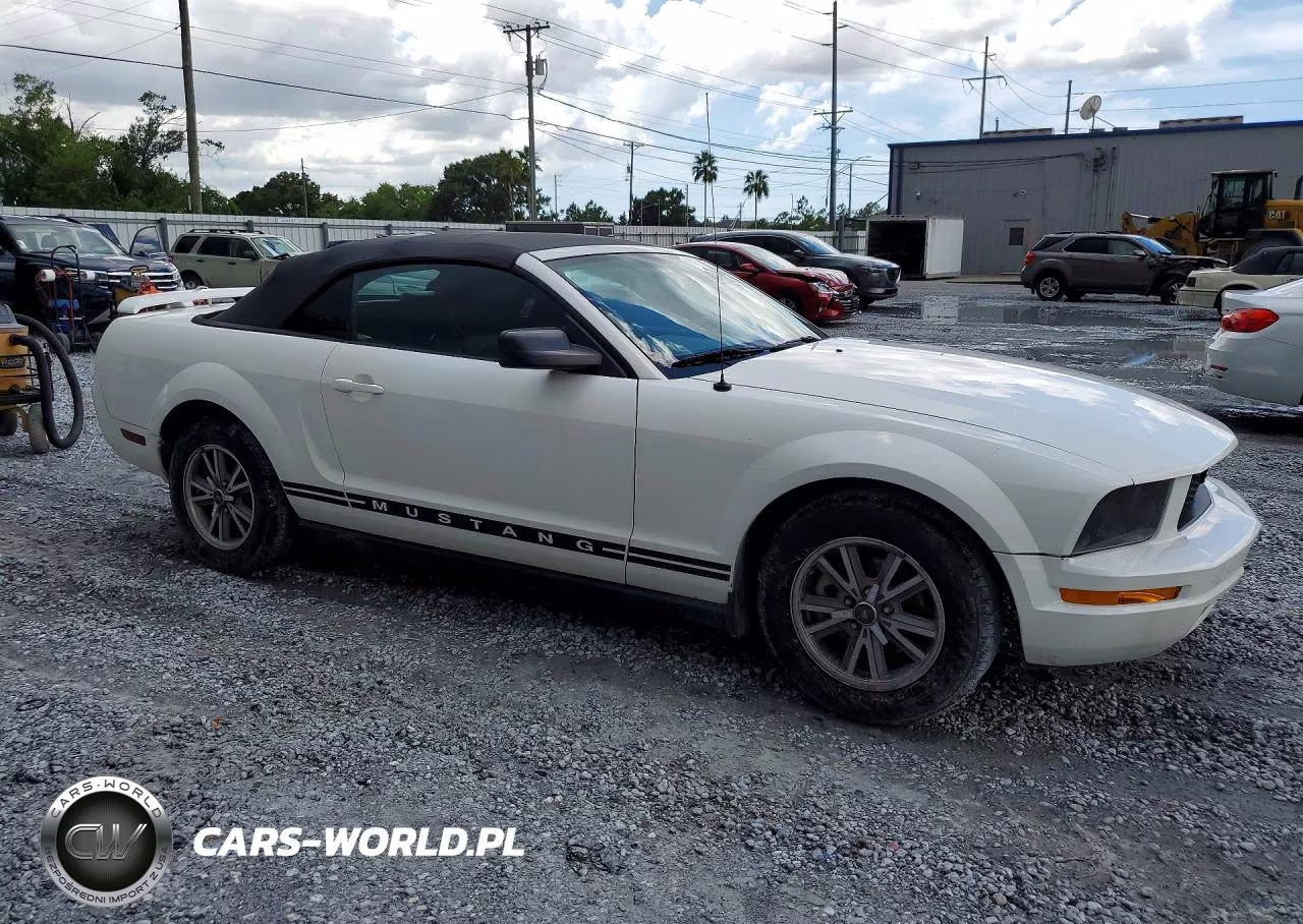 2005 Ford Mustang VIN:1ZVFT84N555247611 - 4