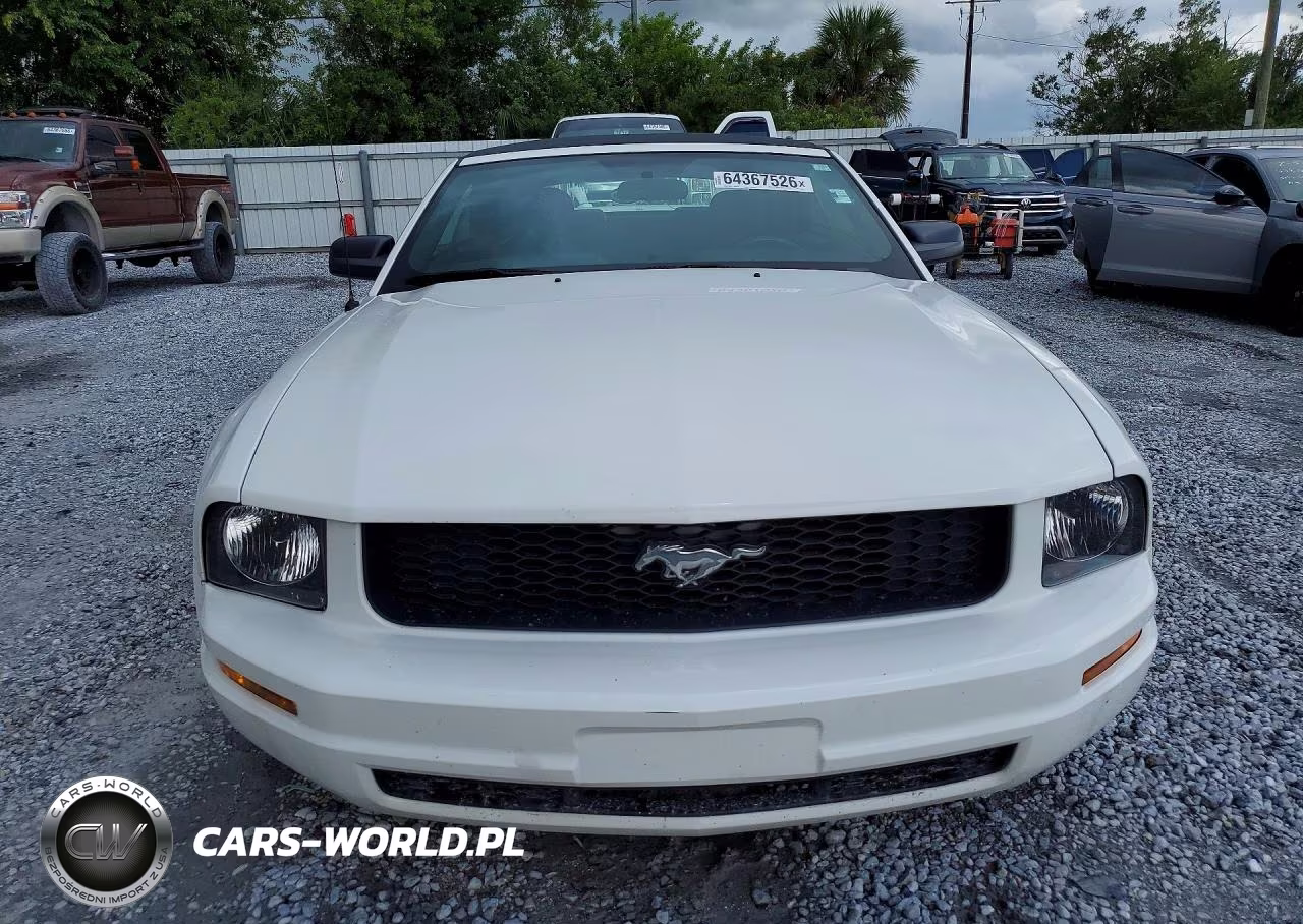2005 Ford Mustang VIN:1ZVFT84N555247611 - 5