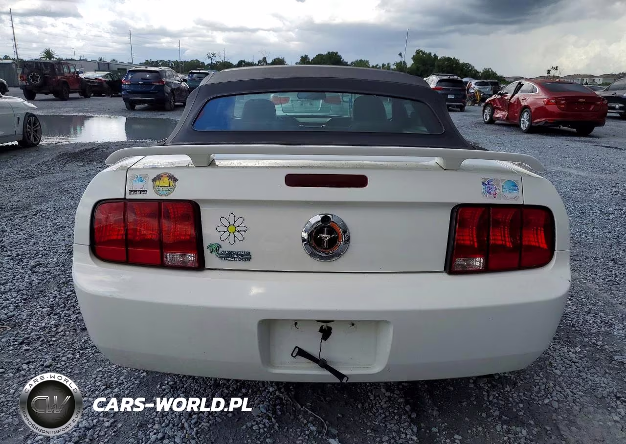 2005 Ford Mustang VIN:1ZVFT84N555247611 - 6