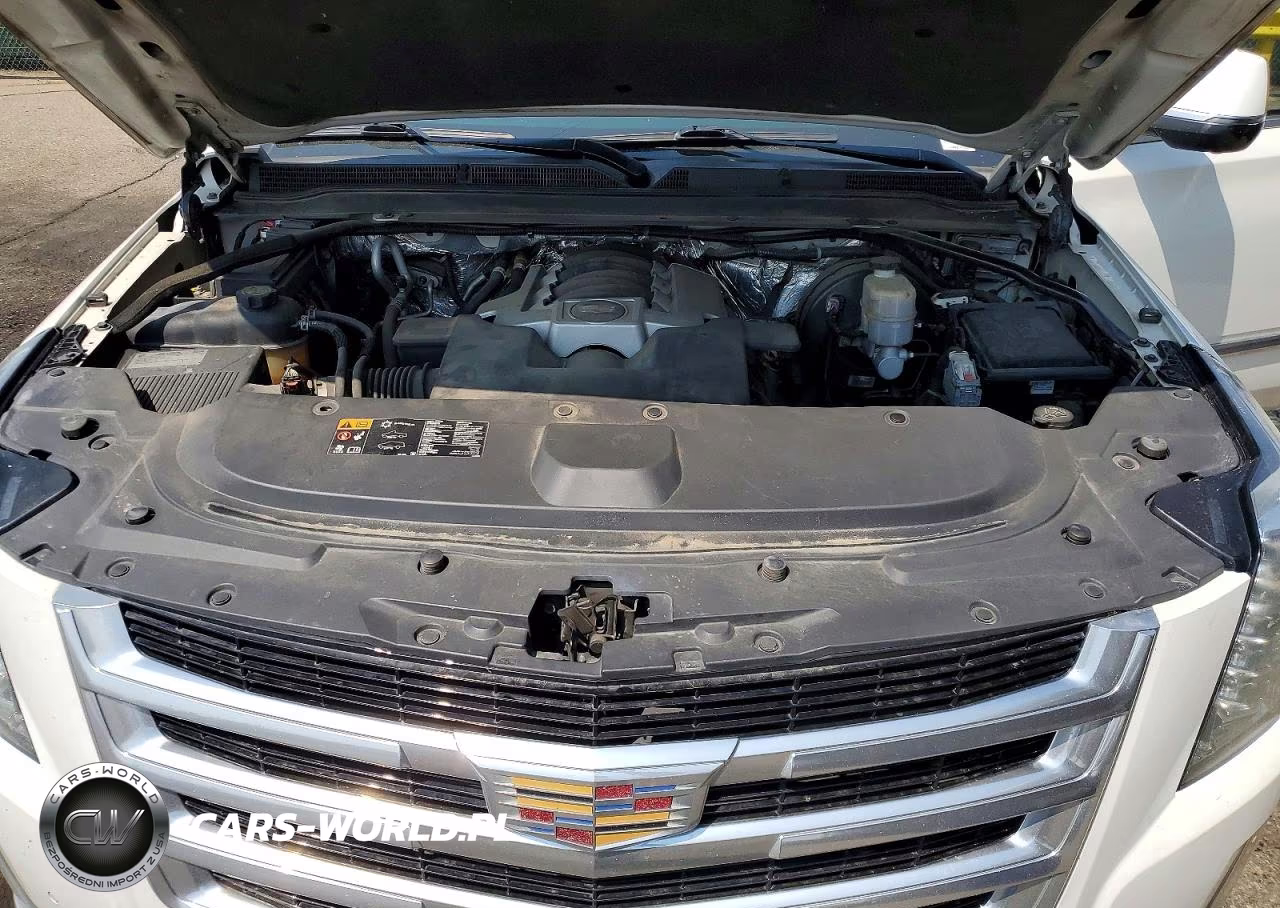 2016 Cadillac Escalade Luxury VIN:1GYS4BKJ5GR139684 - 12