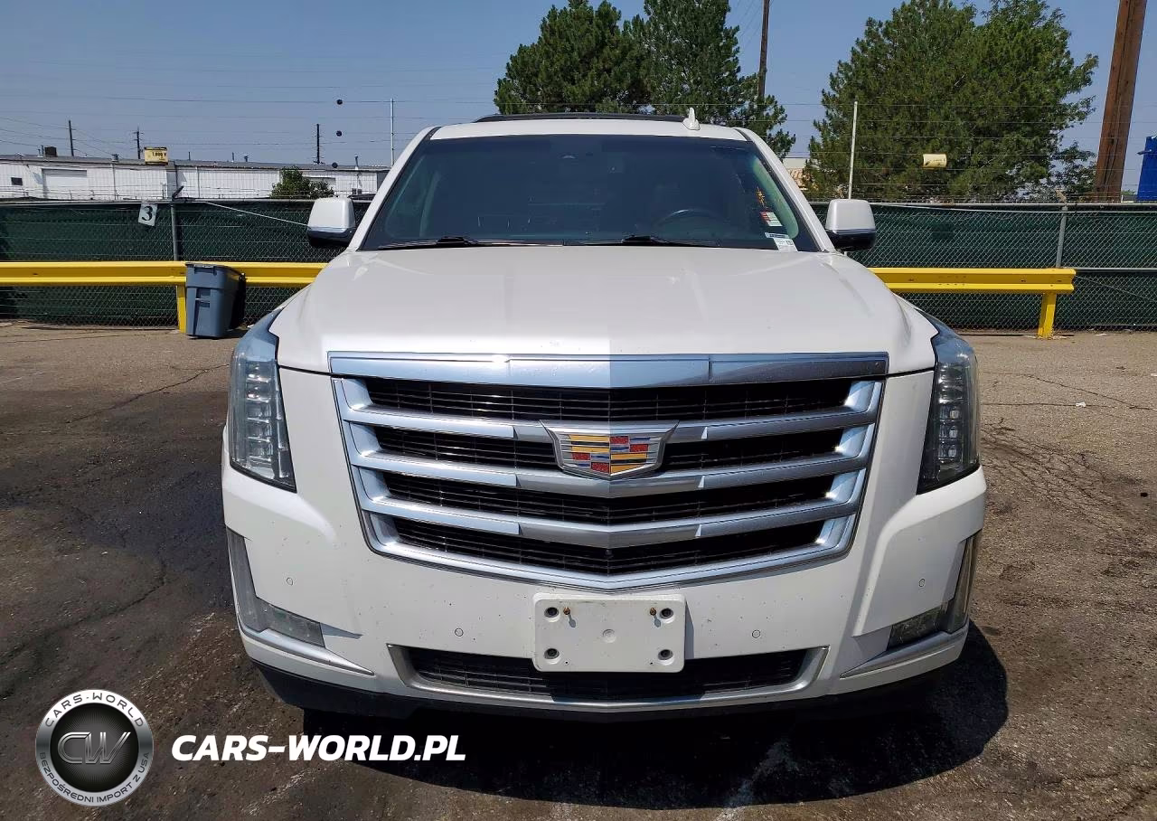 2016 Cadillac Escalade Luxury VIN:1GYS4BKJ5GR139684 - 5