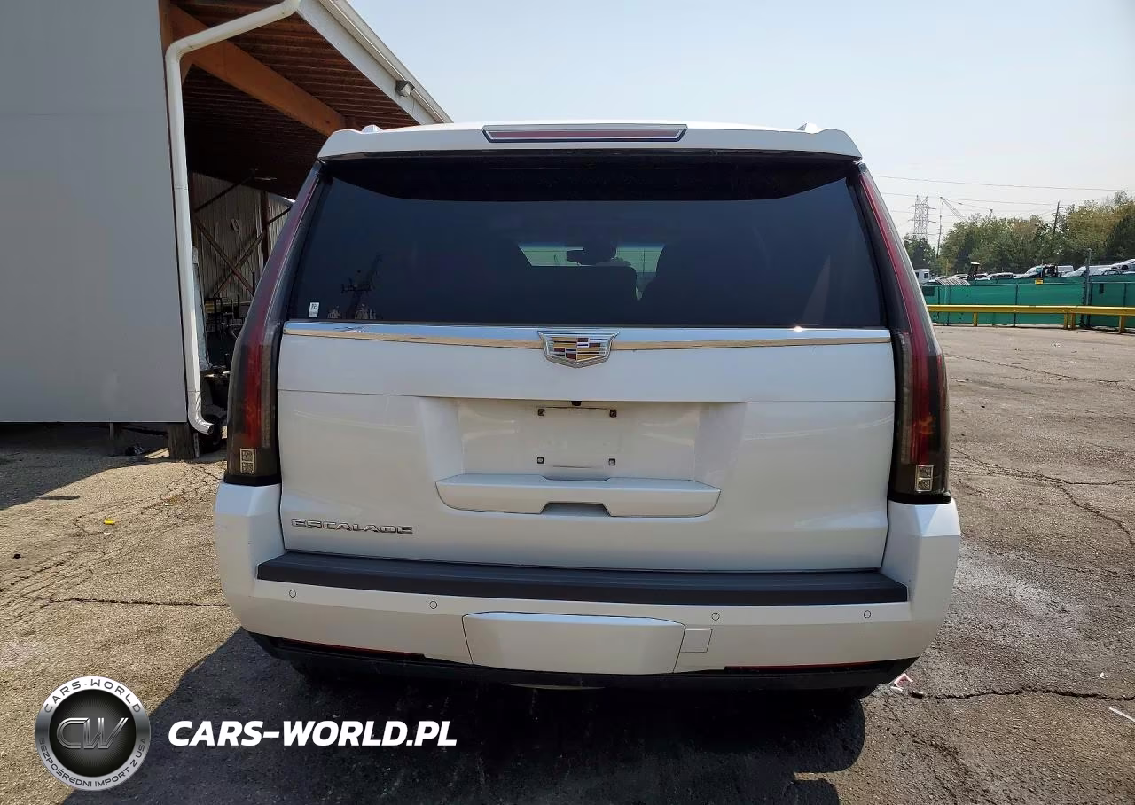 2016 Cadillac Escalade Luxury VIN:1GYS4BKJ5GR139684 - 6