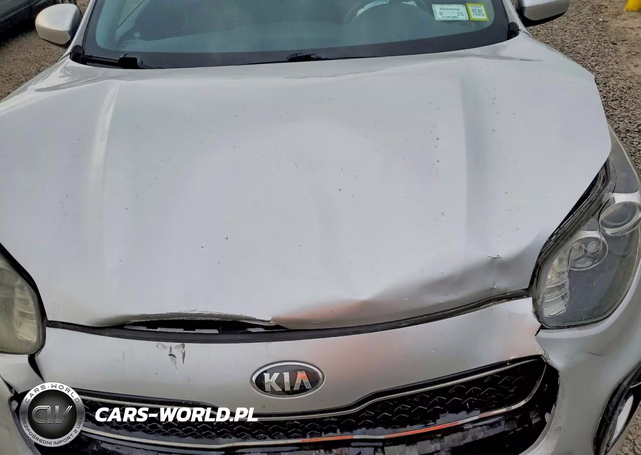 2018 Kia Sportage Lx VIN:KNDPMCAC6J7446935 - 12