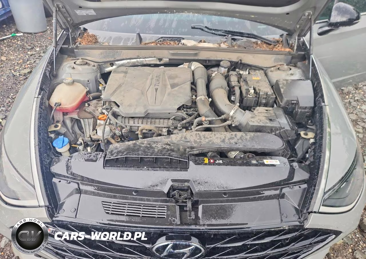 2023 Hyundai Sonata N Line VIN:KMHL14JCXPA251182 - 11