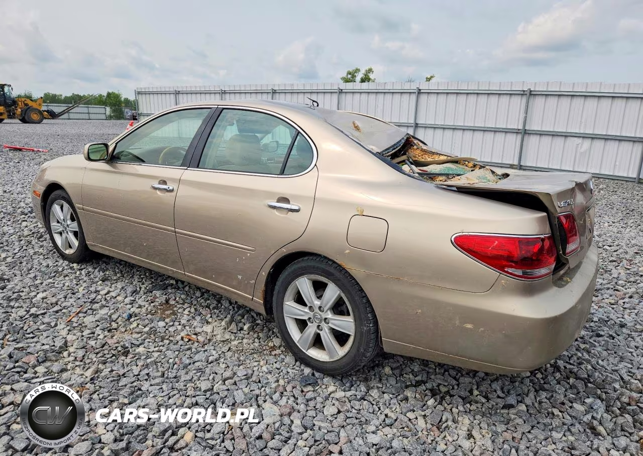 2005 Lexus Es 330 VIN:JTHBA30G755061052 - 2