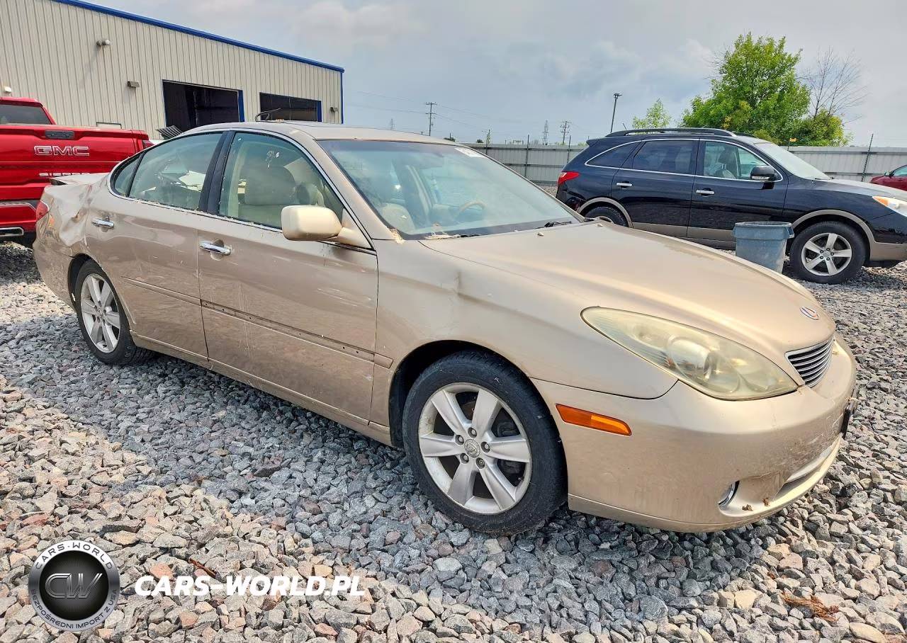 2005 Lexus Es 330 VIN:JTHBA30G755061052 - 4
