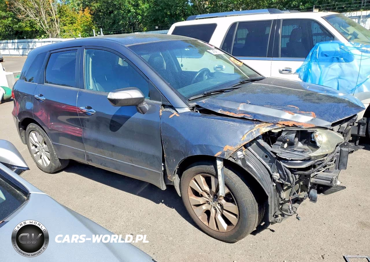 2010 Acura Rdx Technology VIN:5J8TB2H51AA003831 - 4