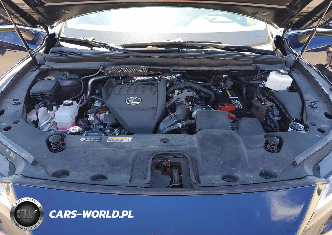 2023 Lexus Rx 350 Premium VIN:2T2BAMBA3PC018068 - 12