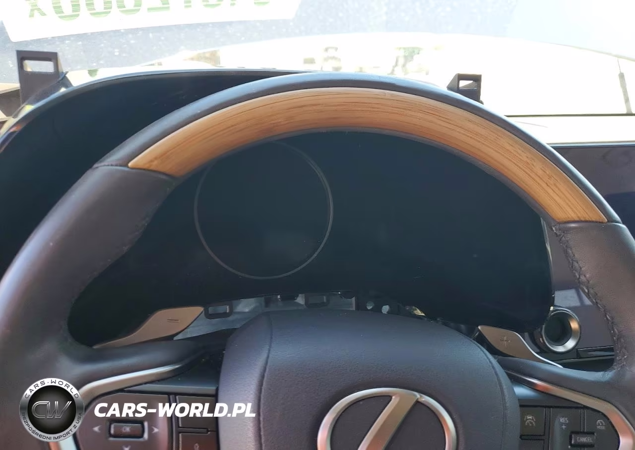 2023 Lexus Rx 350 Premium VIN:2T2BAMBA3PC018068 - 9