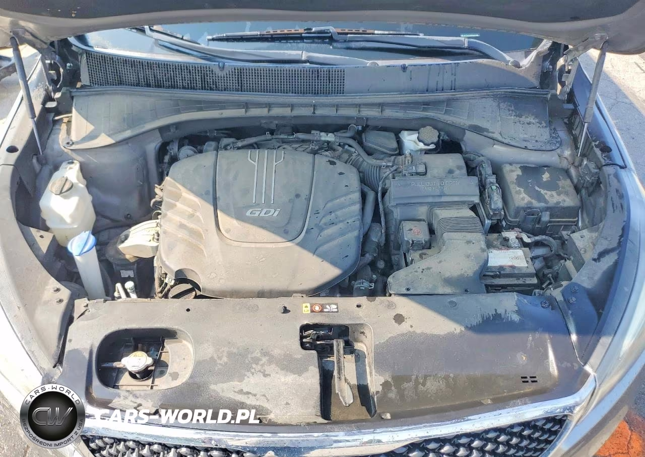 2017 Kia Sorento Lx V6 VIN:5XYPG4A58HG237305 - 12